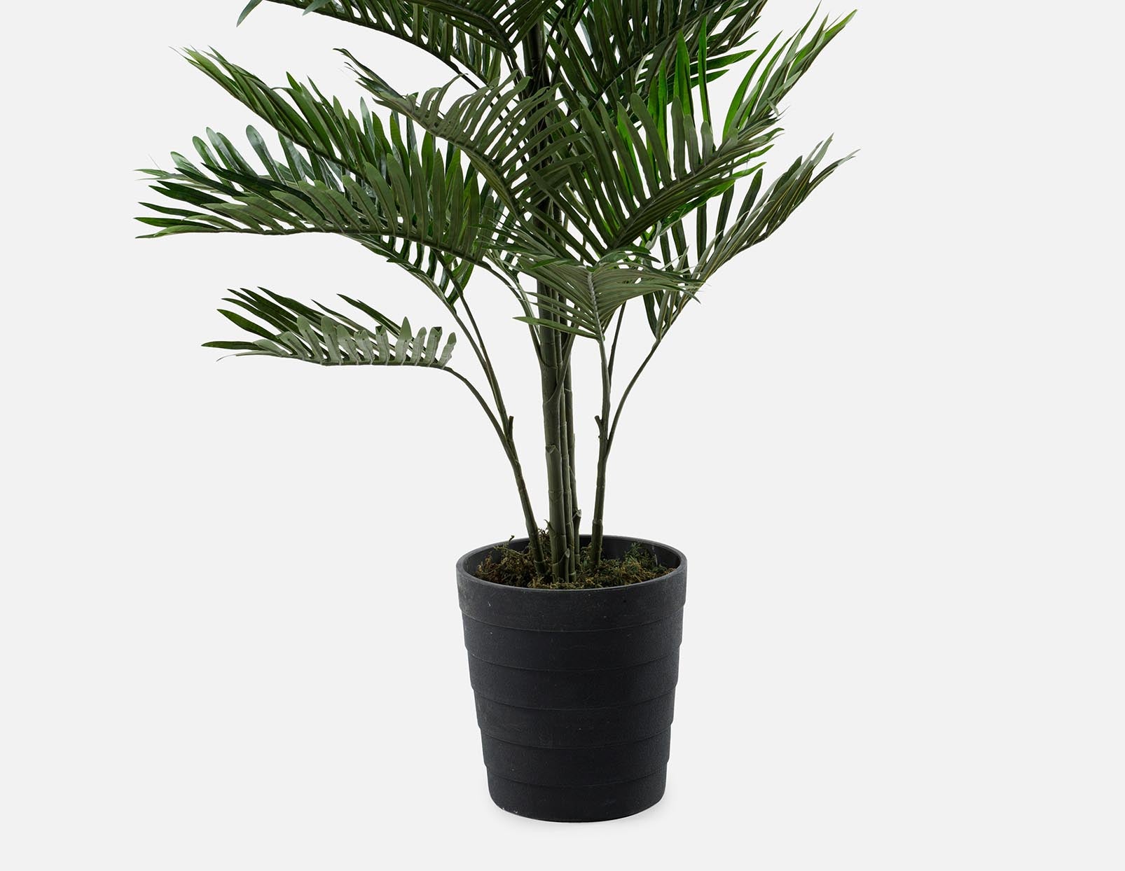 PALM artificial potted plant 150 cm undefined