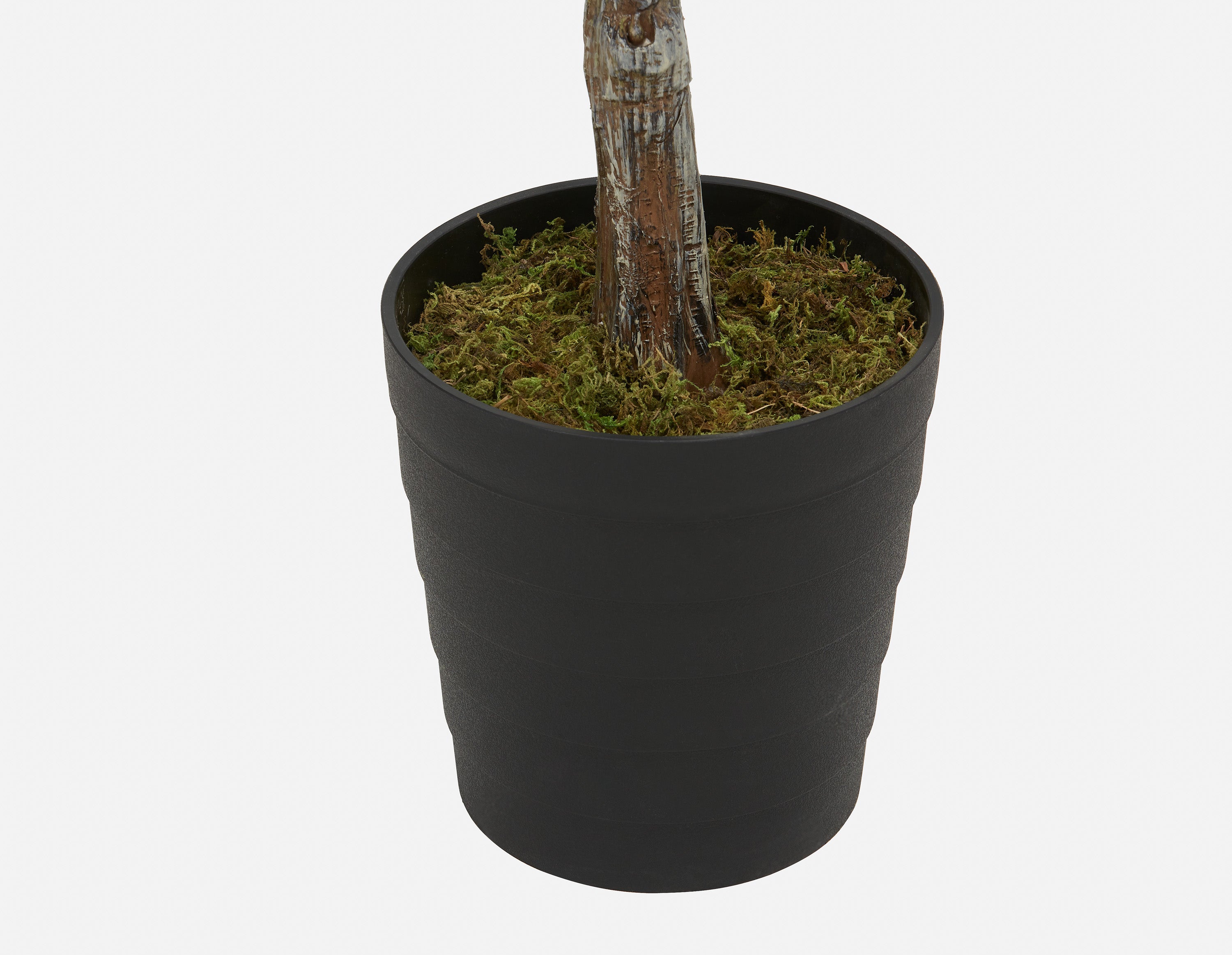 OLIVE II artificial potted plant 200cm undefined