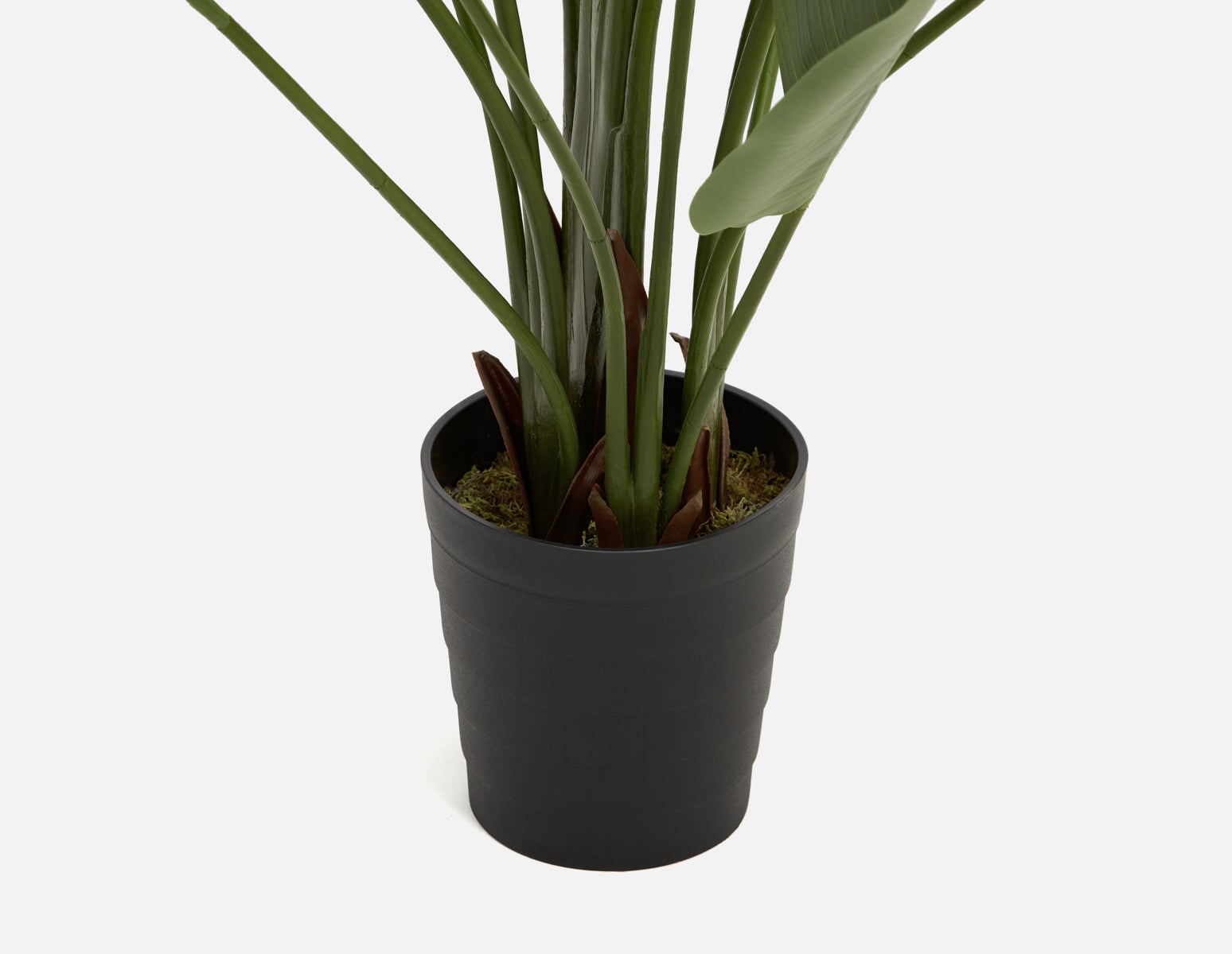 VERTO artificial potted plant 210 cm undefined