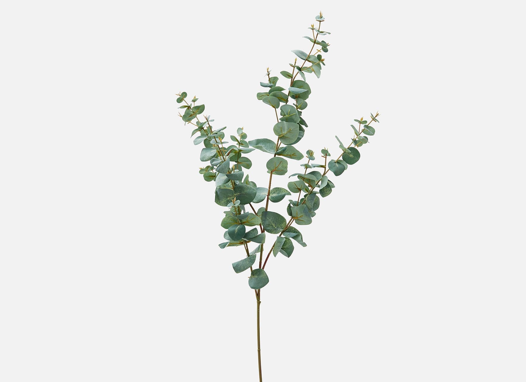 EUCALYPTUS plante artificielle 115 cm undefined