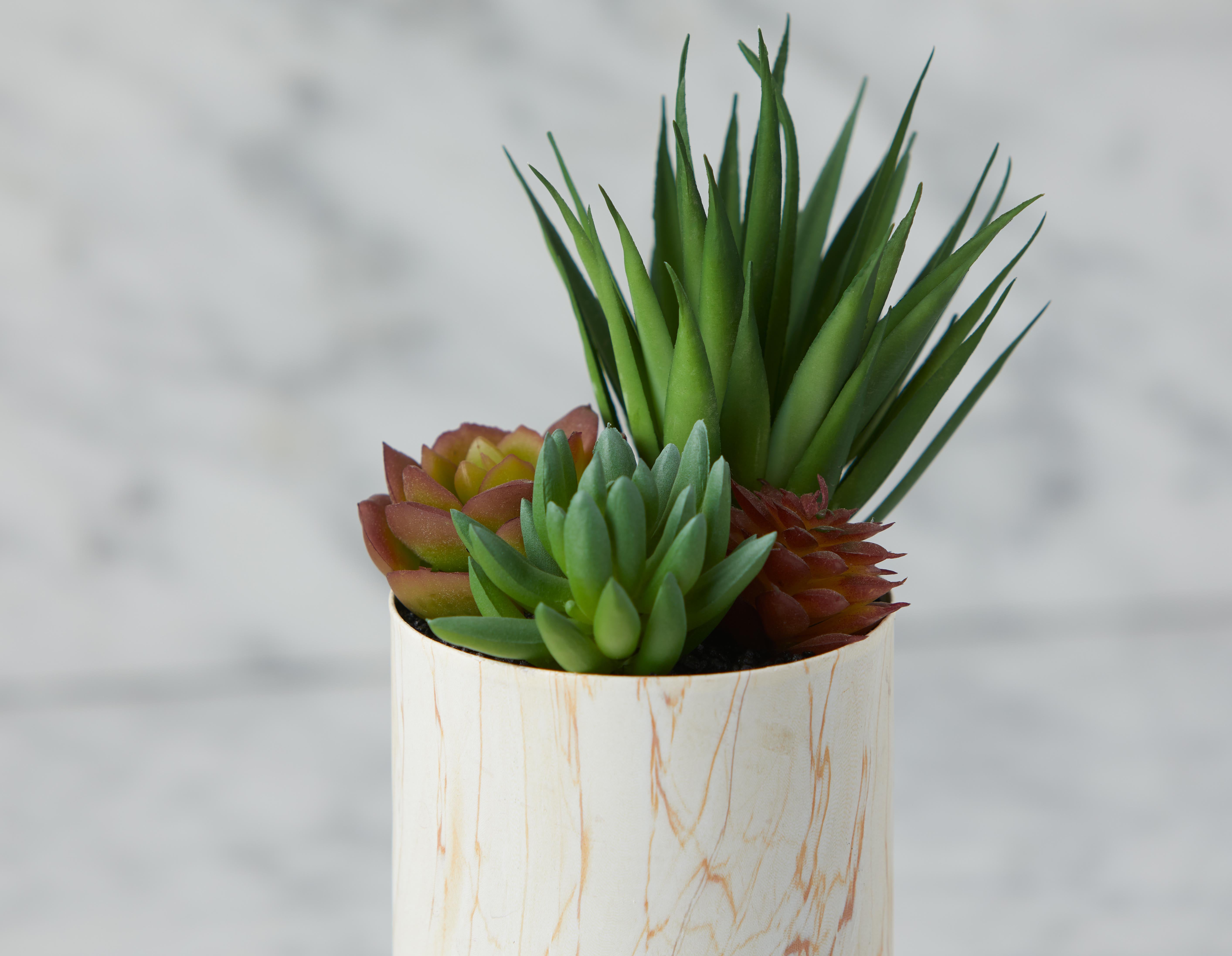 TAWNEY artificial potted plant 25 cm undefined