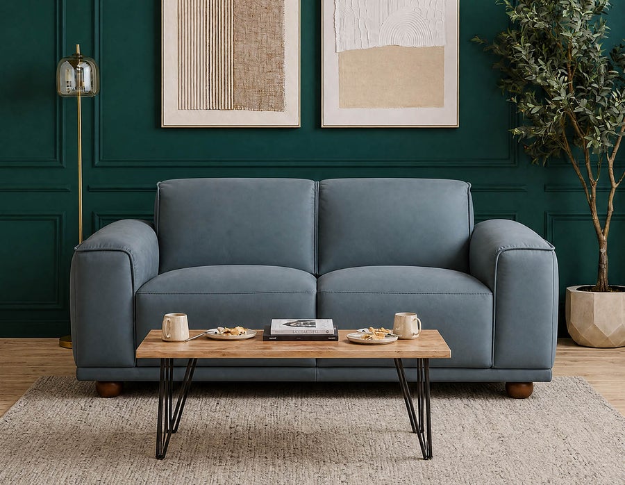 VIGO 100% leather apartment sofa undefined