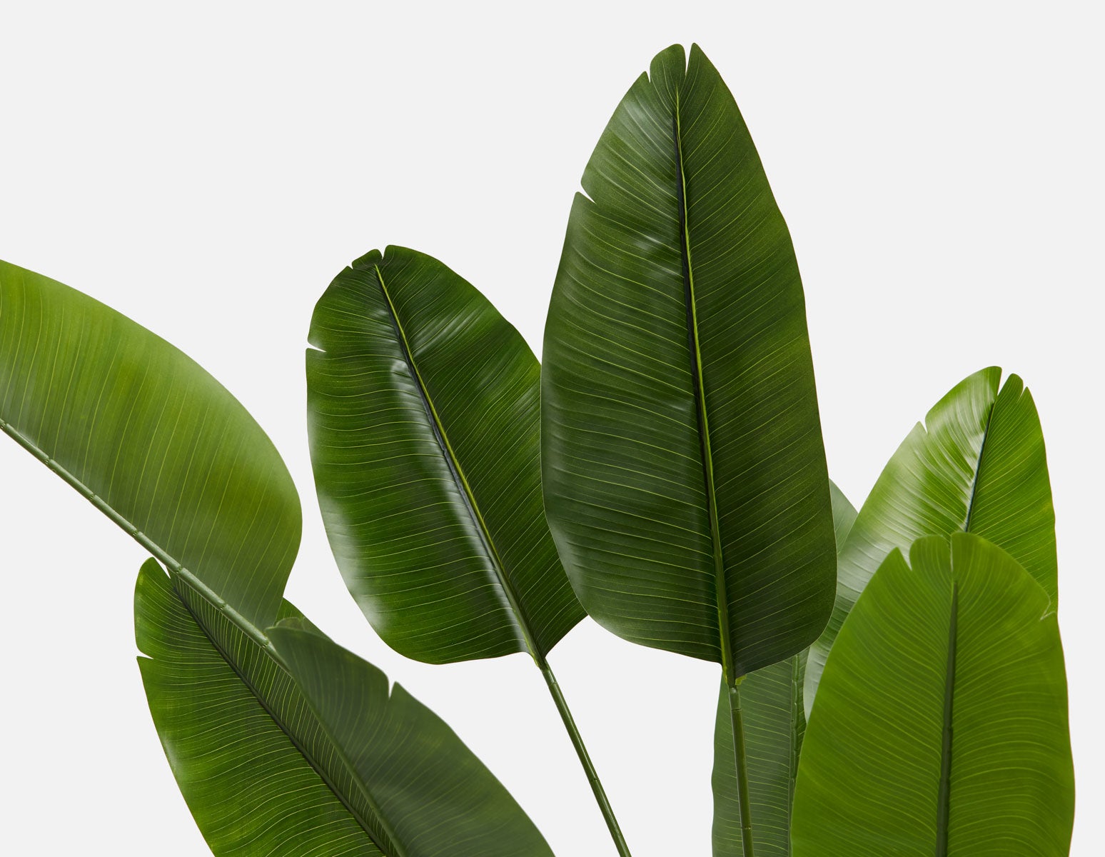 VERTO artificial potted plant 210 cm undefined