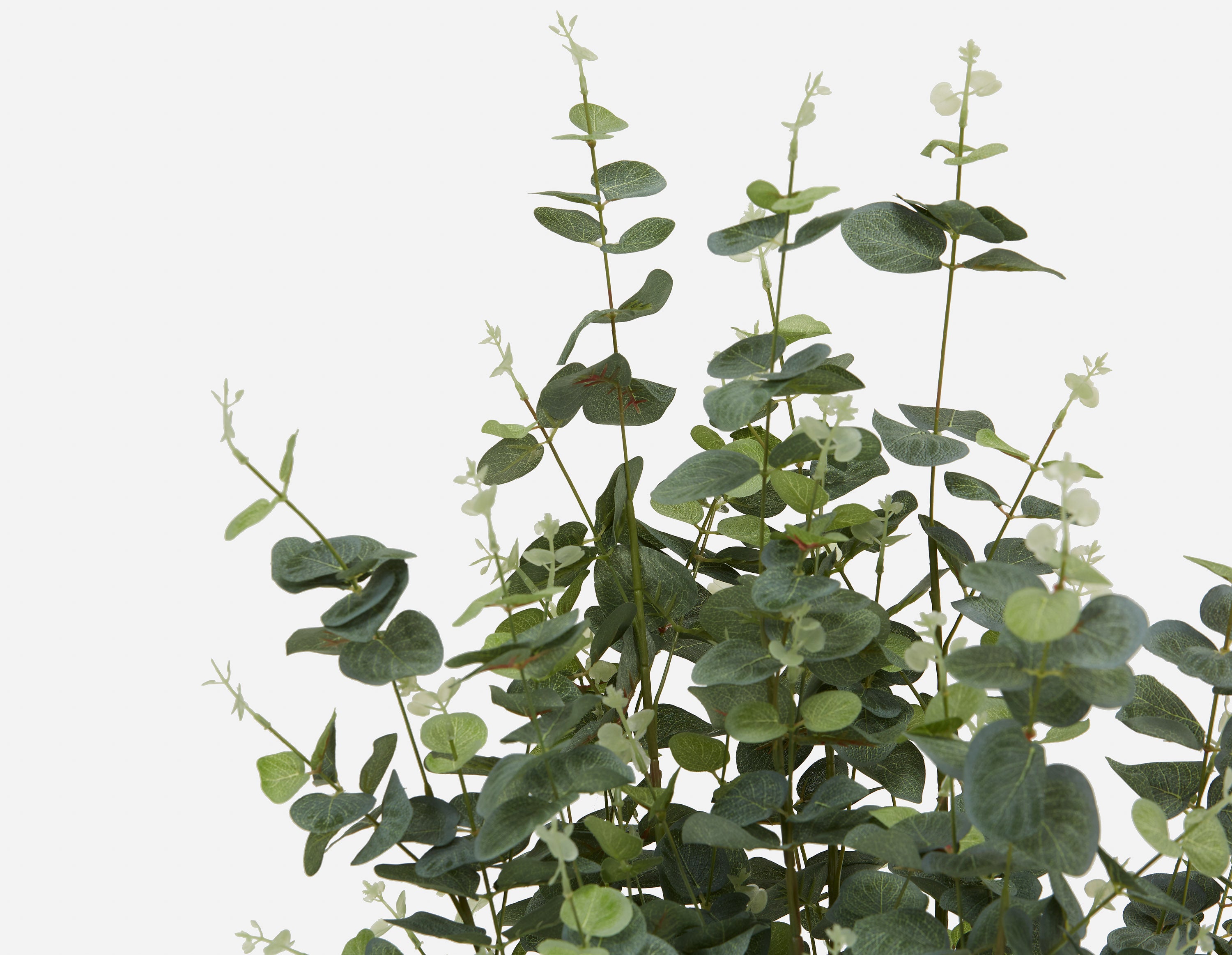 EUCALYPTUS IV artificial potted plant 125cm undefined