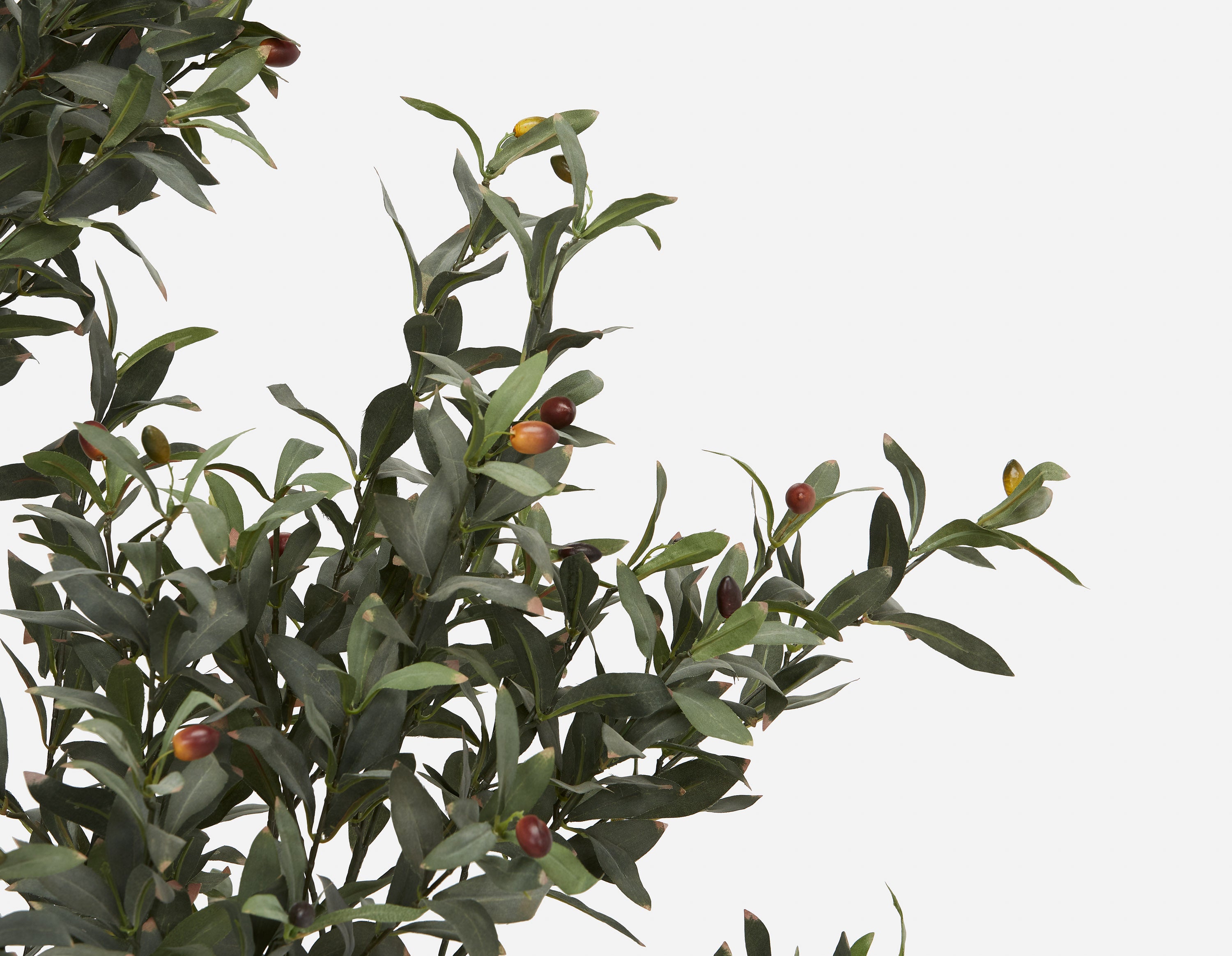 OLIVE II artificial potted plant 200cm undefined
