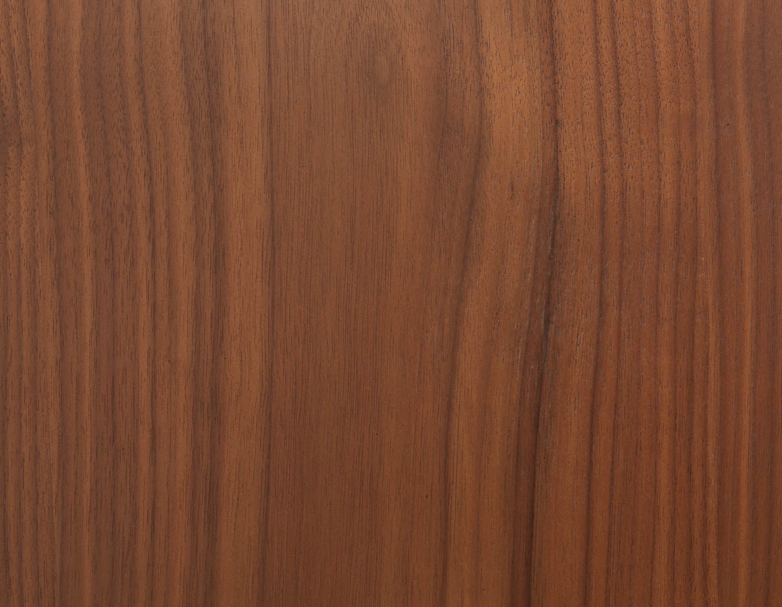 AFREEN mid century dining chair undefined