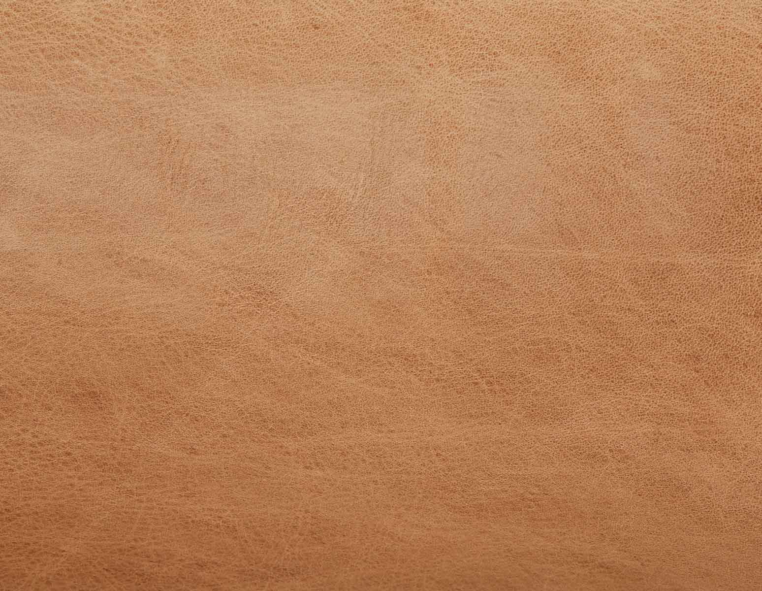 STEFANIA chaise de salle à manger en cuir avec accoudoirs undefined