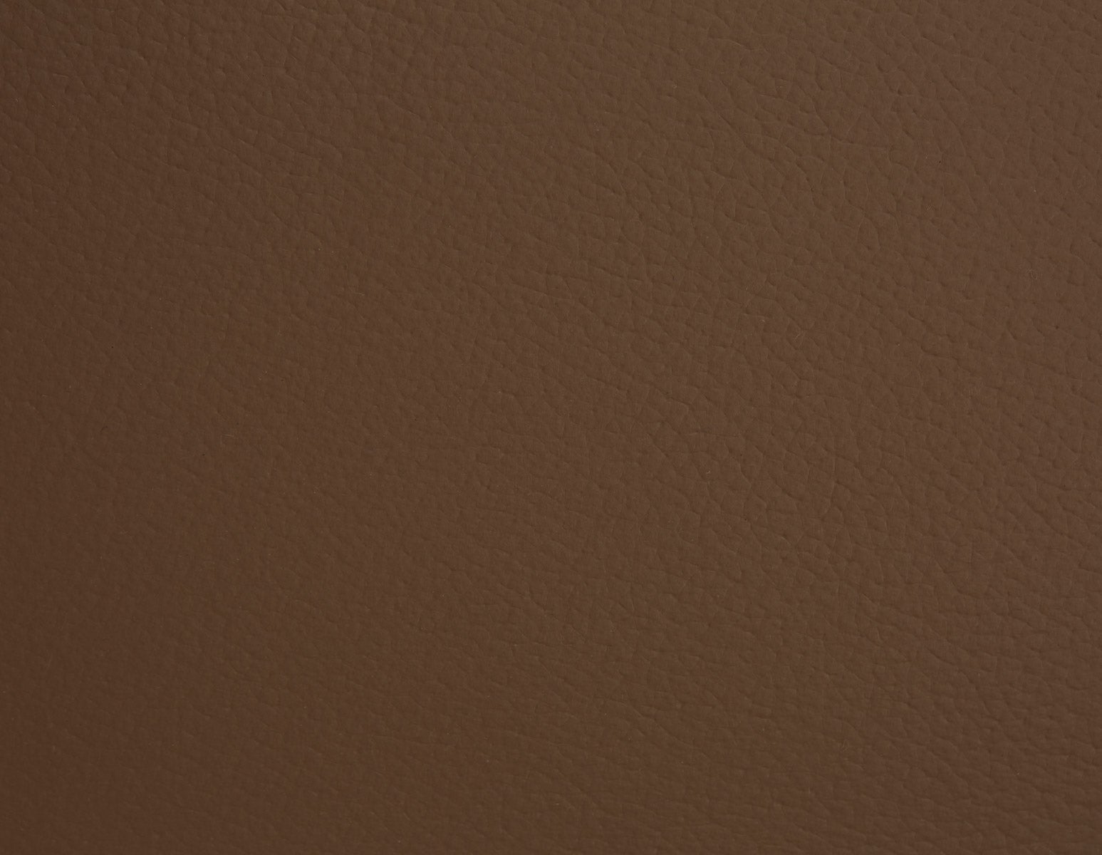 VERONICA 100% leather contemporary dining chair undefined