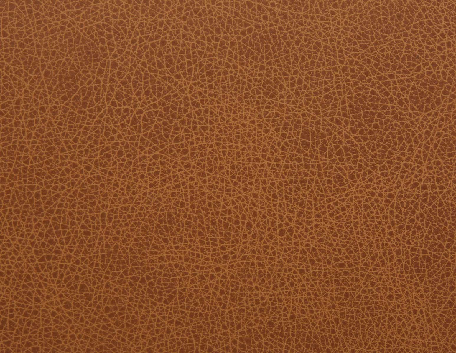 VITTA 100% leather modern contemporary dining chair undefined