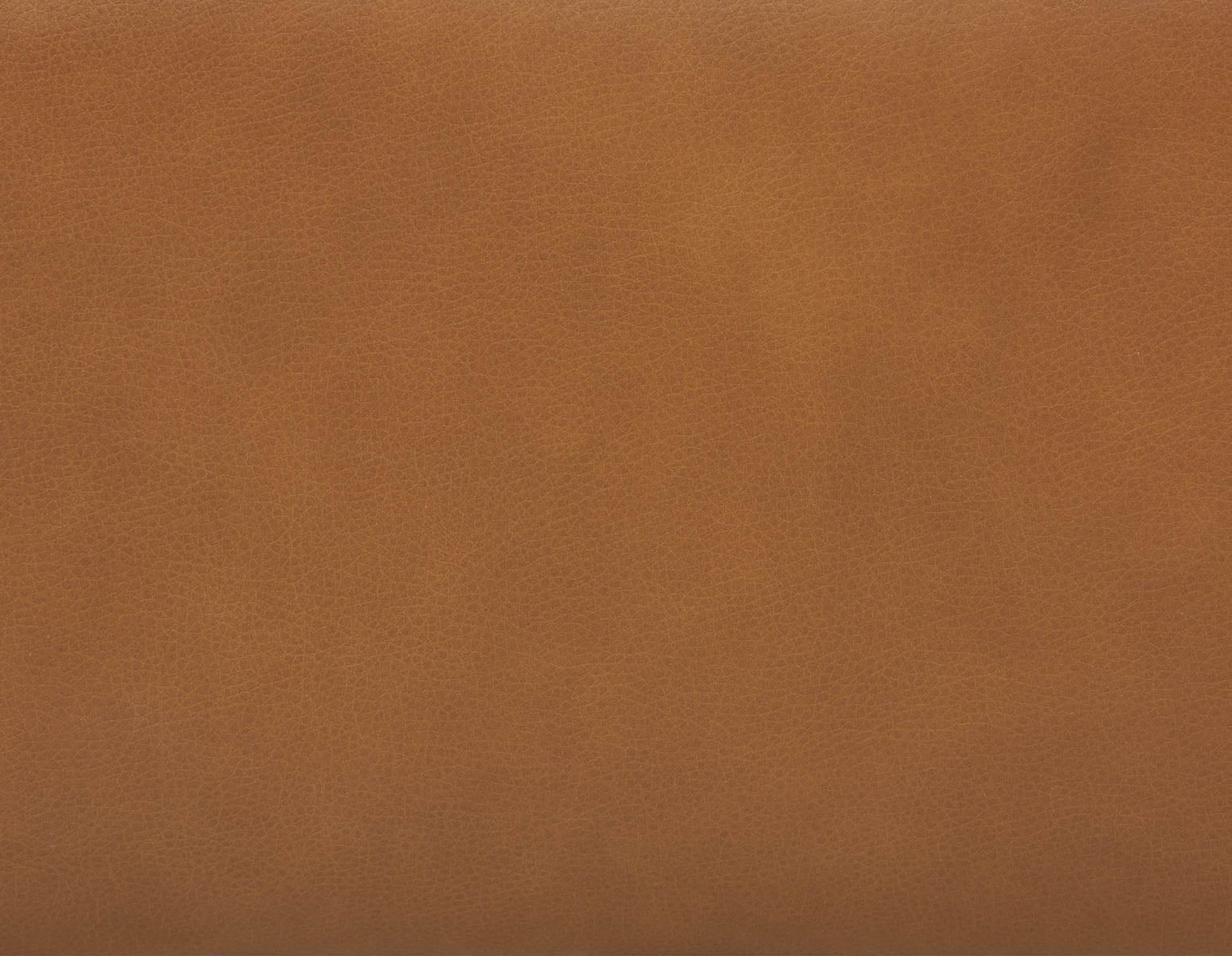 NATALIA Canapé d'appartement 100% cuir 81" undefined