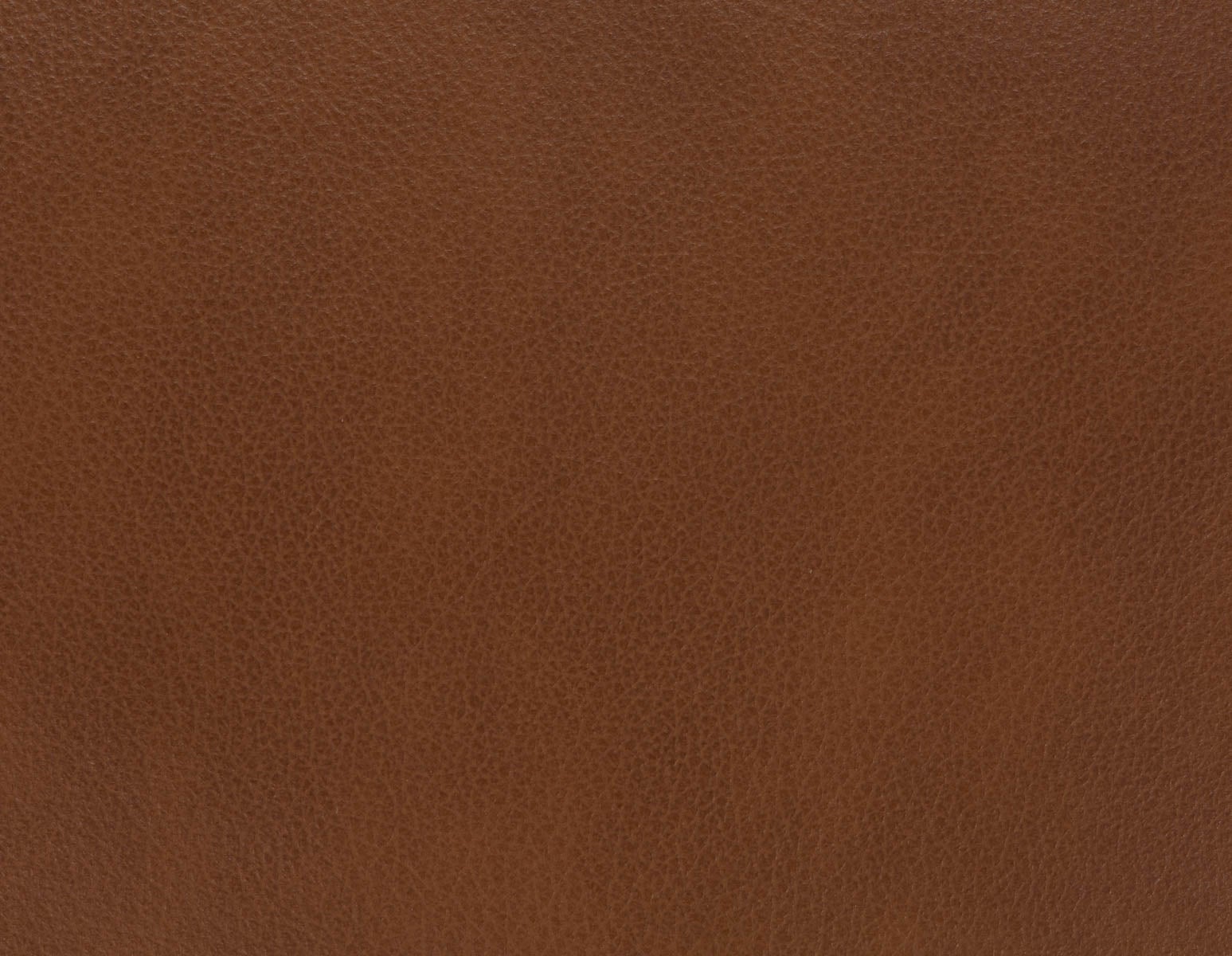 LATONA 100% leather mid-century modern accent chair undefined