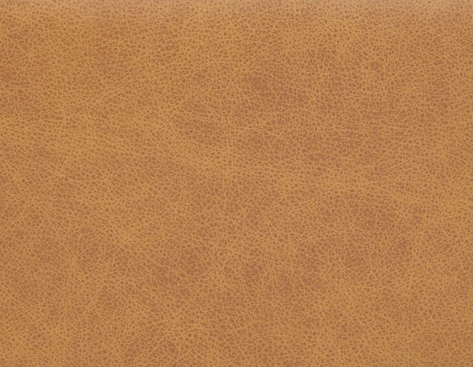 LIMA modern 100% leather loveseat undefined