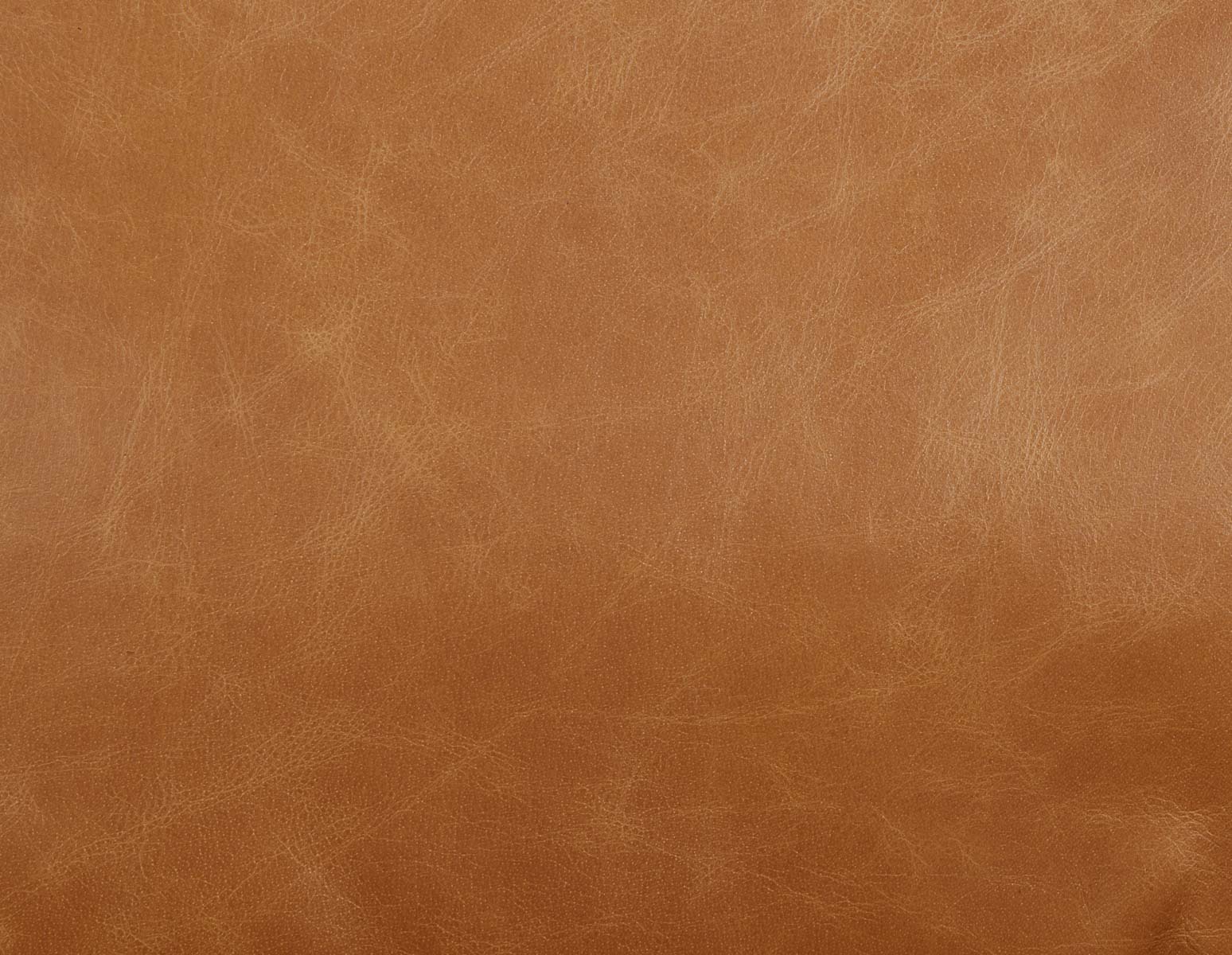 KINSEY causeuse 100% cuir undefined