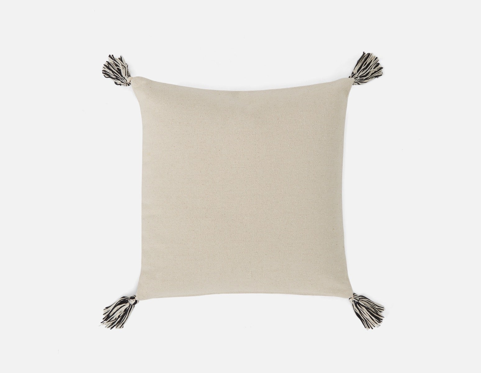 BIRON coussin 45 cm x 45 cm undefined
