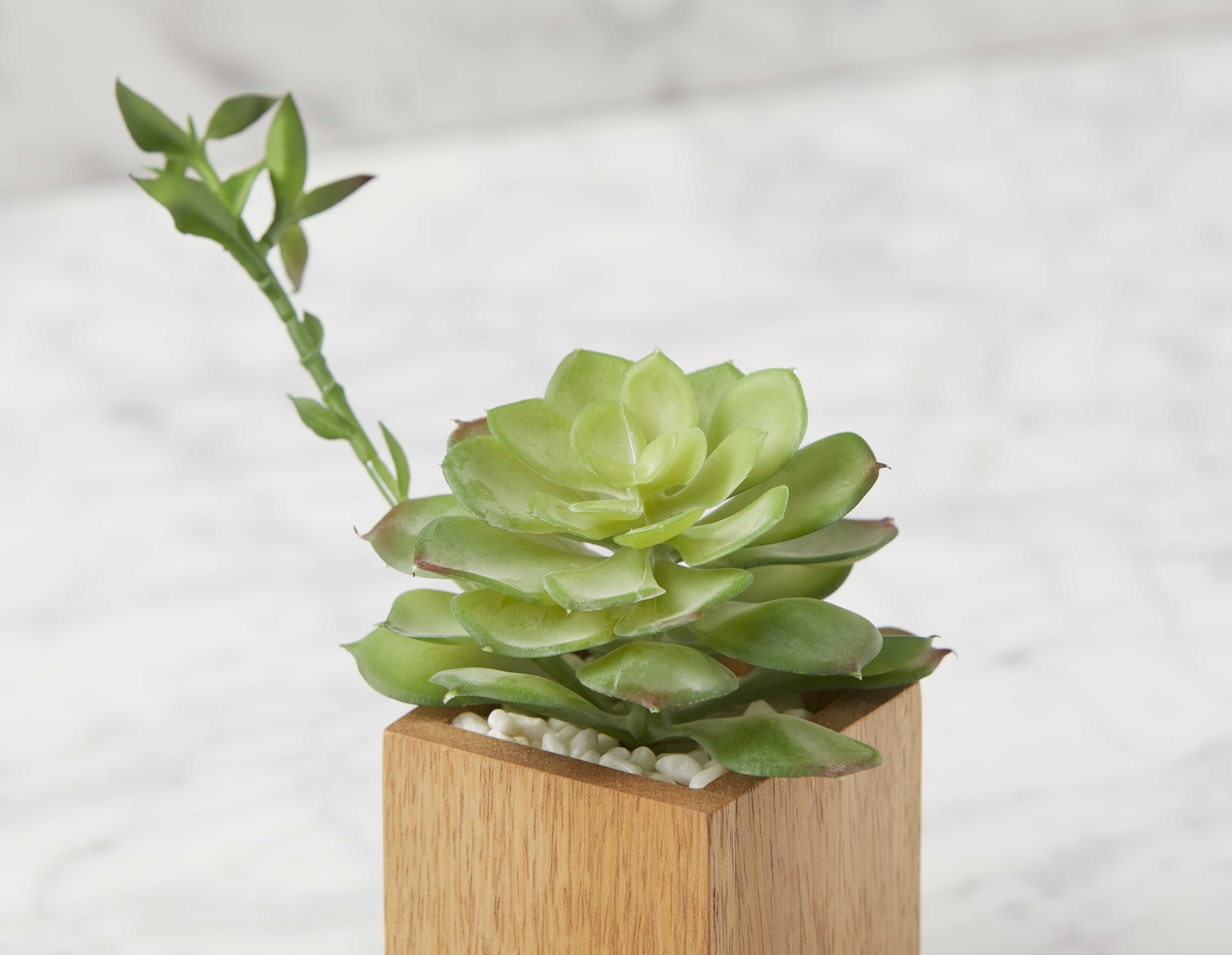 FORET artificial potted plant 7 cm undefined