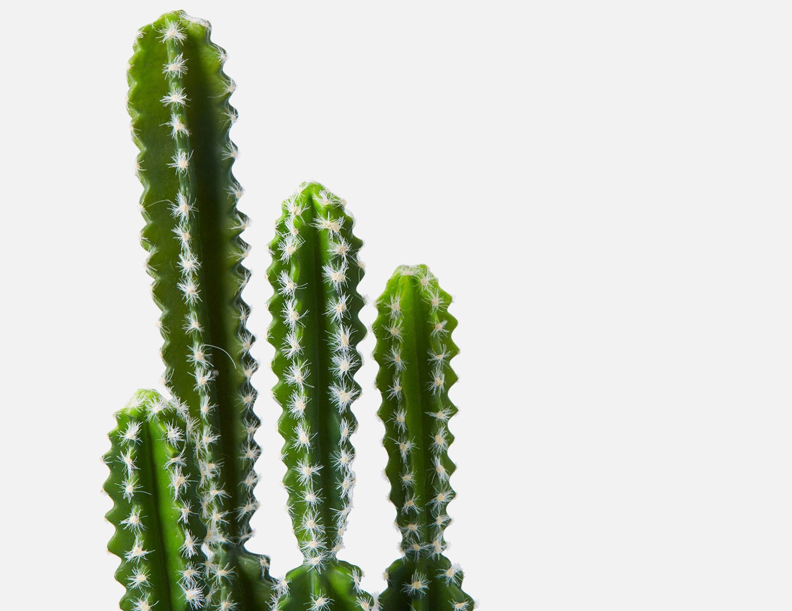TETRA artificial potted cactus 70 cm undefined