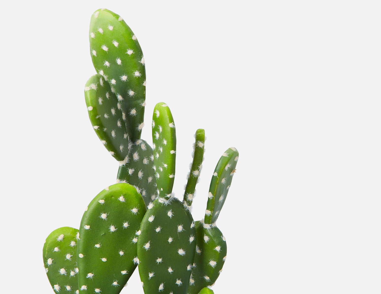 OPUNTIA artificial potted cactus 41 cm undefined
