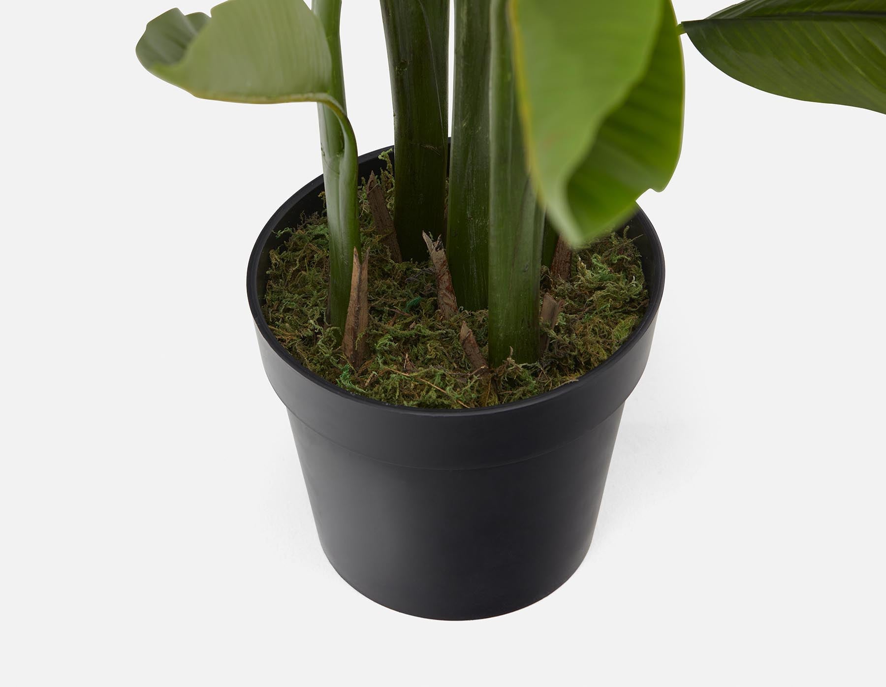 ALISA artificial potted plant 140 cm undefined