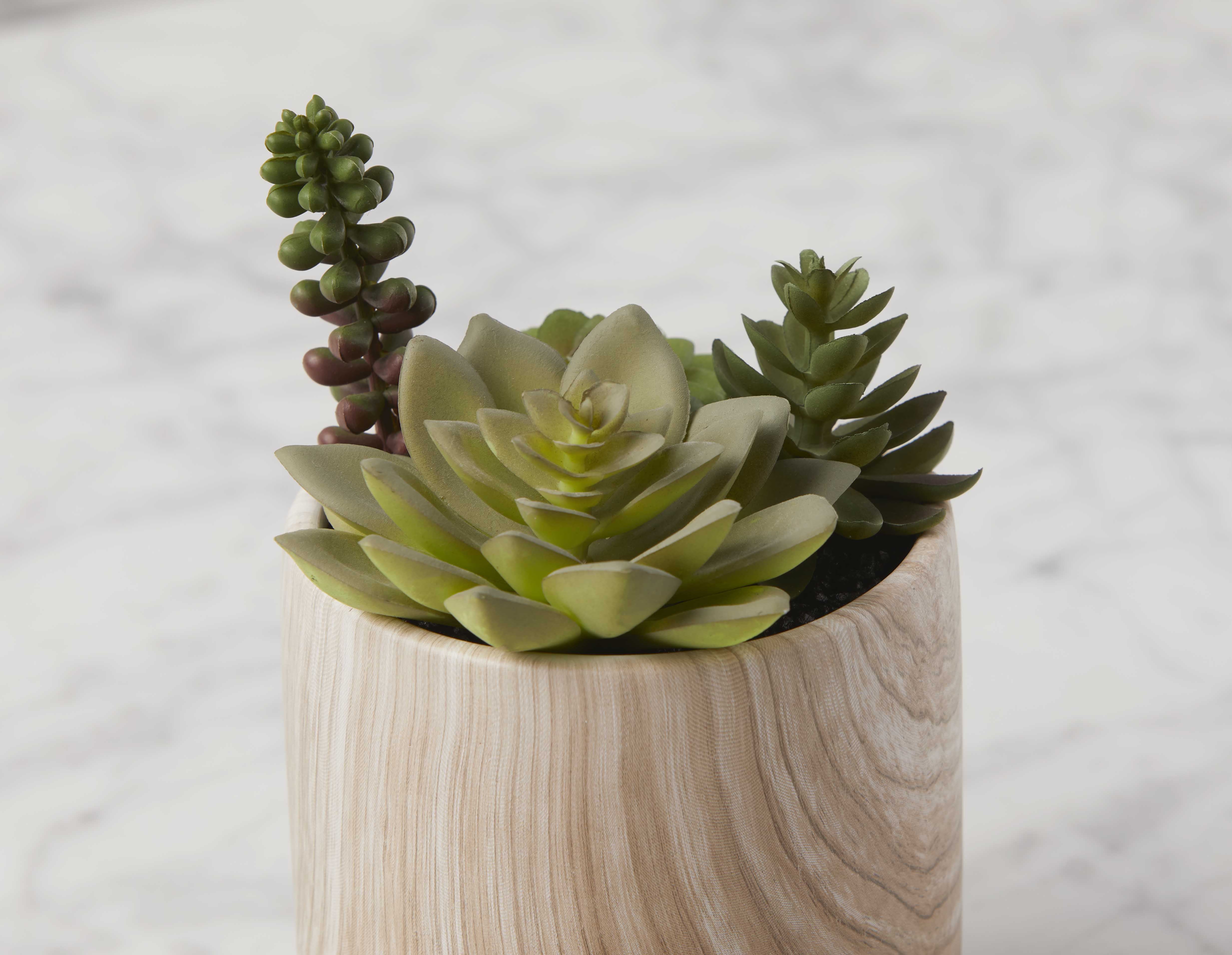 TOBY plante artificielle en pot 18 cm undefined