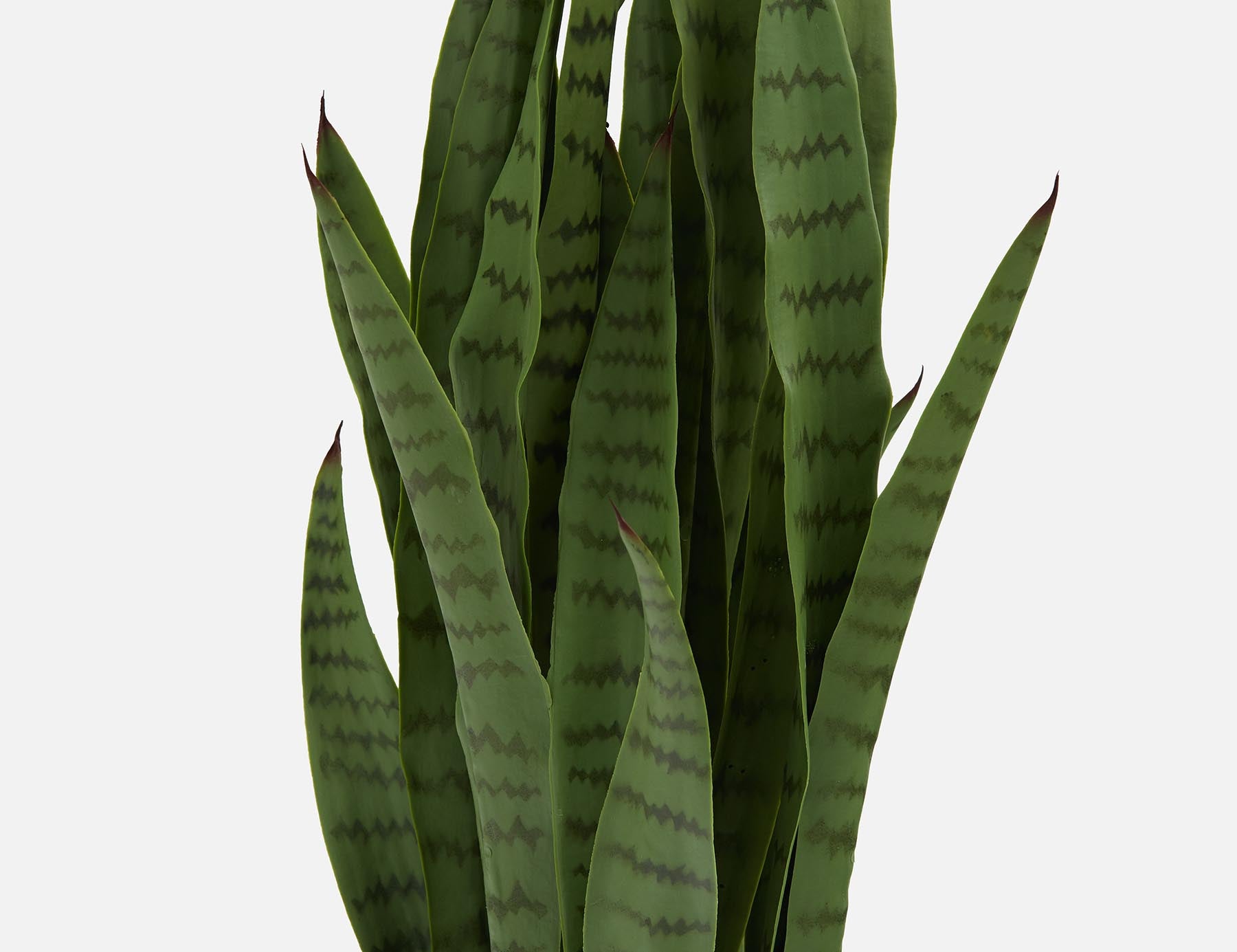 SNAKE PLANT artificial potted plant 94 cm undefined