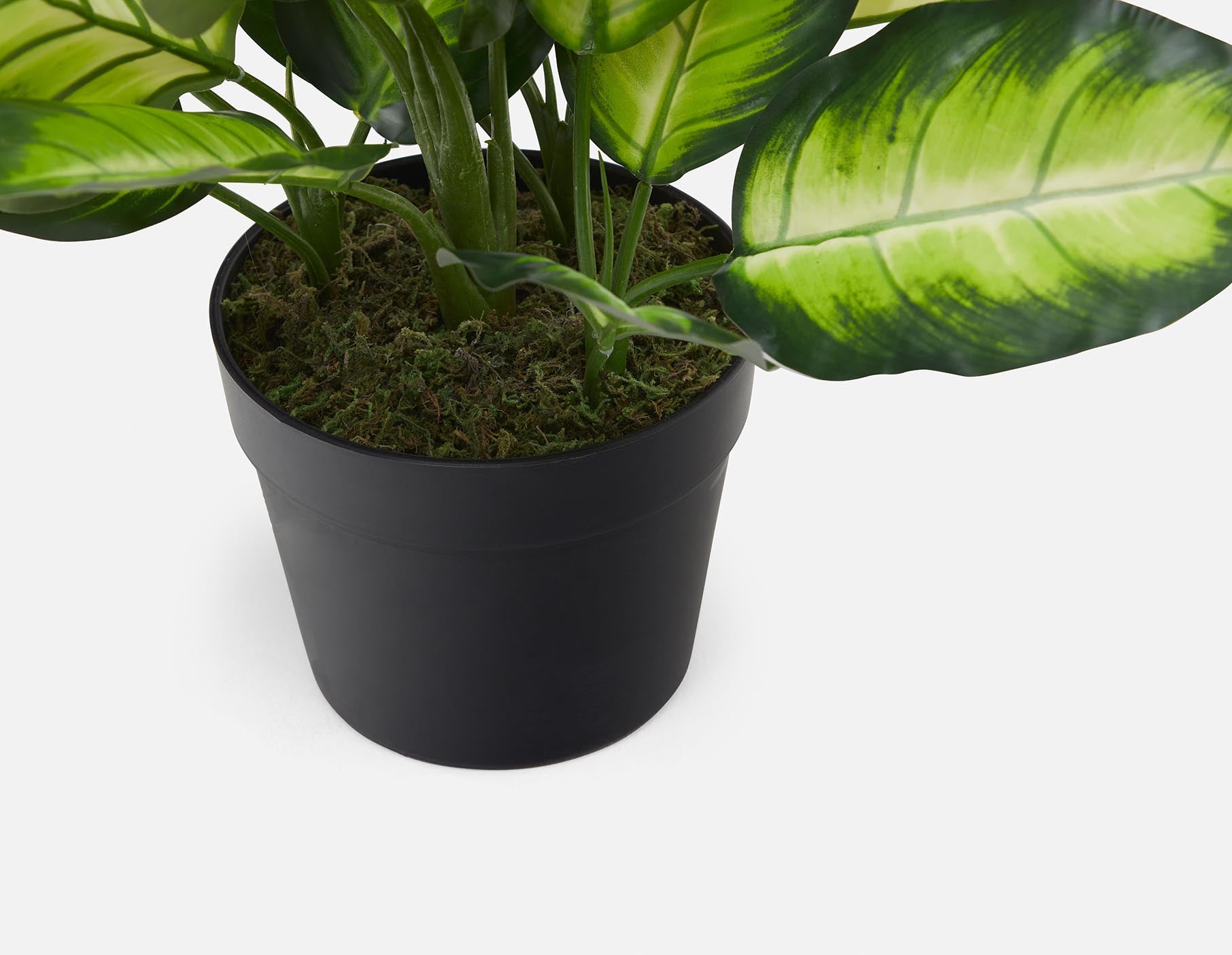 ALIX plante artificielle en pot 50 cm undefined