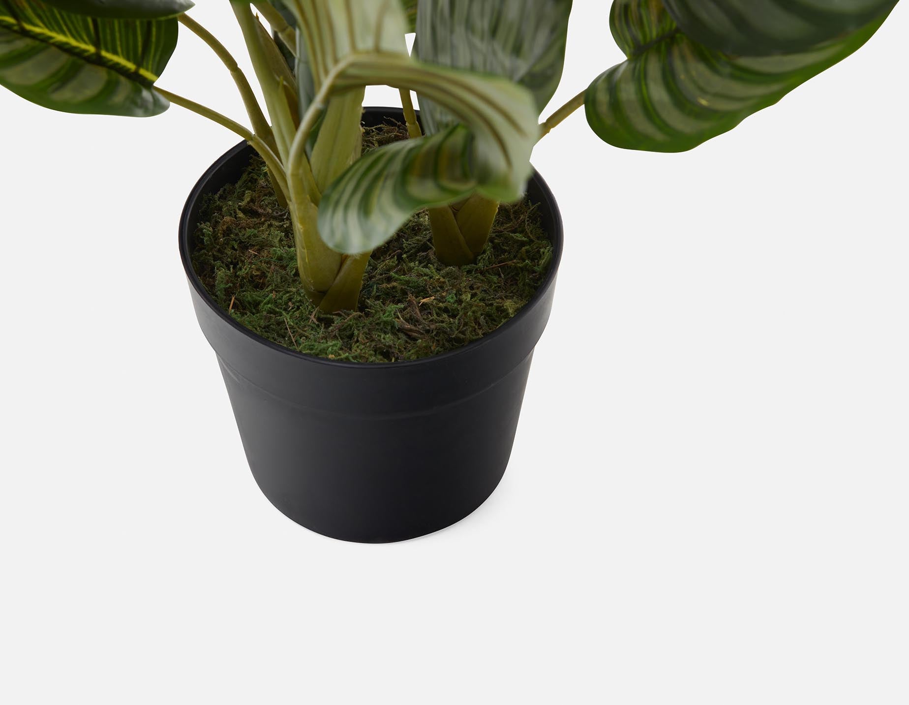 ALLY artificial potted plant 55 cm undefined