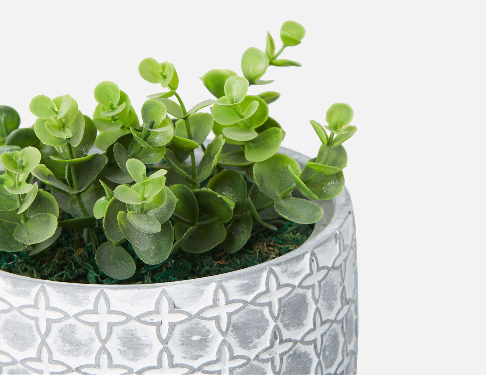 LIVI I artificial potted plant 17 cm undefined