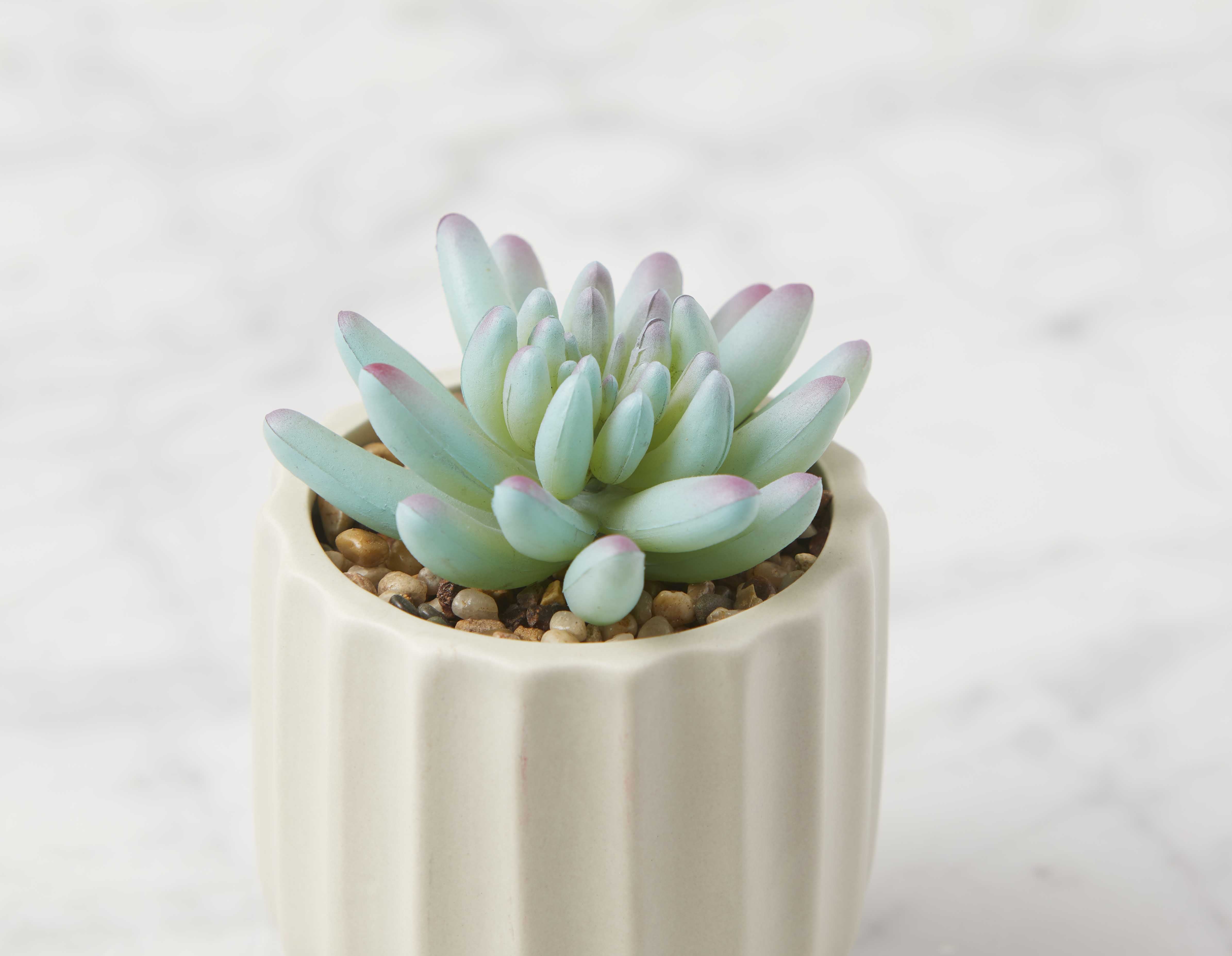 NAVA artificial potted plant 12 cm undefined