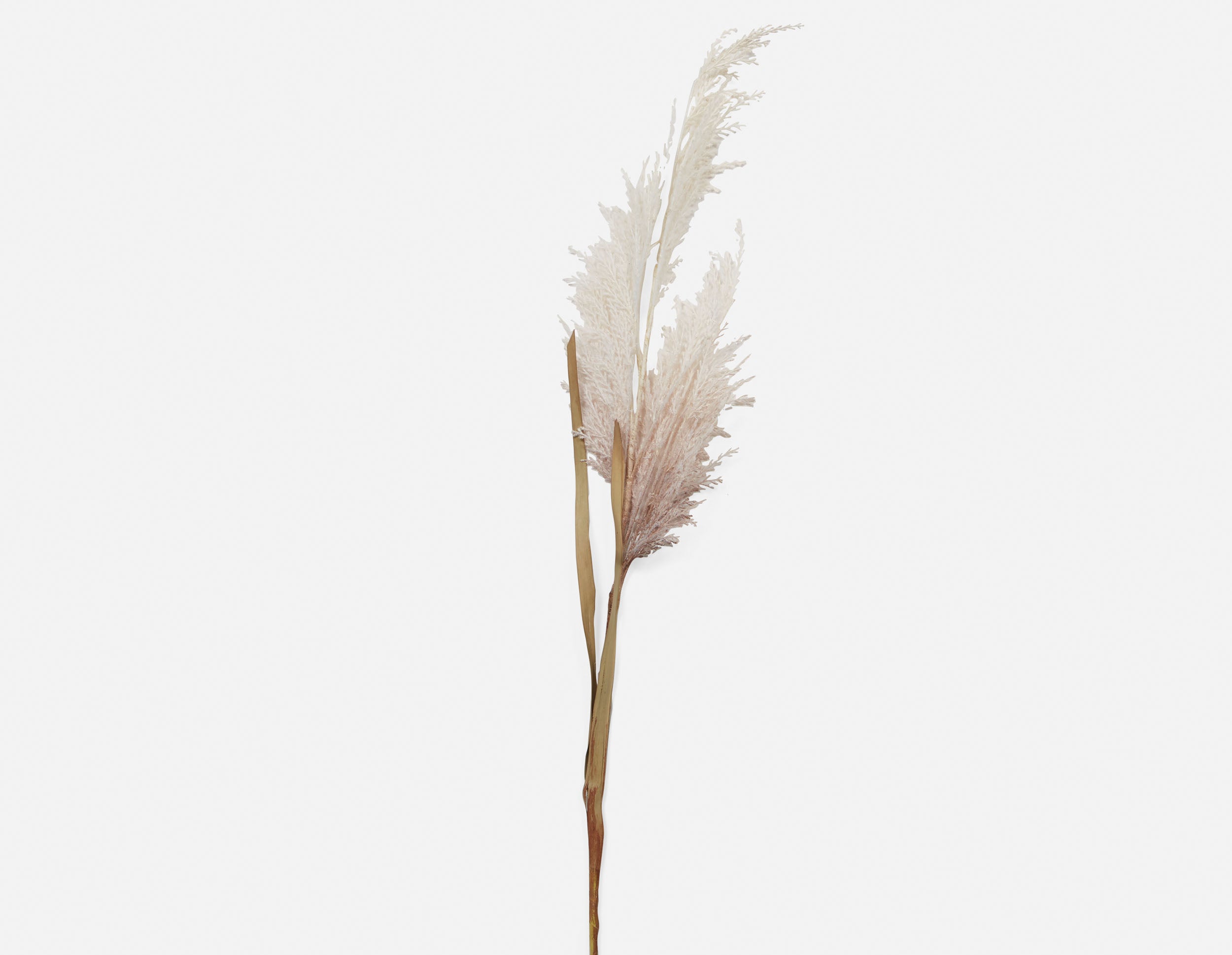 PAMPAS III artificial plant 107 cm undefined