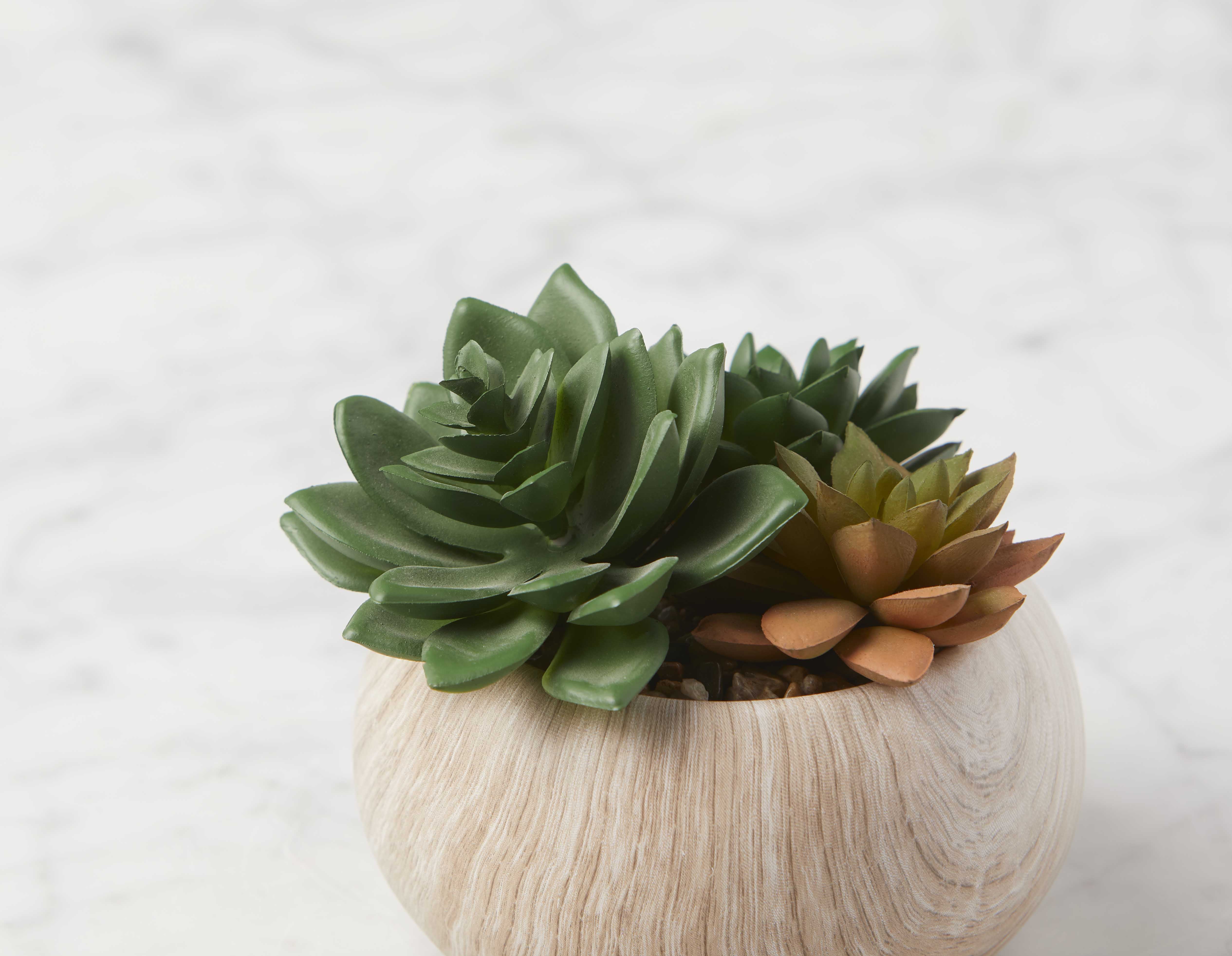 TISHA artificial potted plant 13 cm undefined