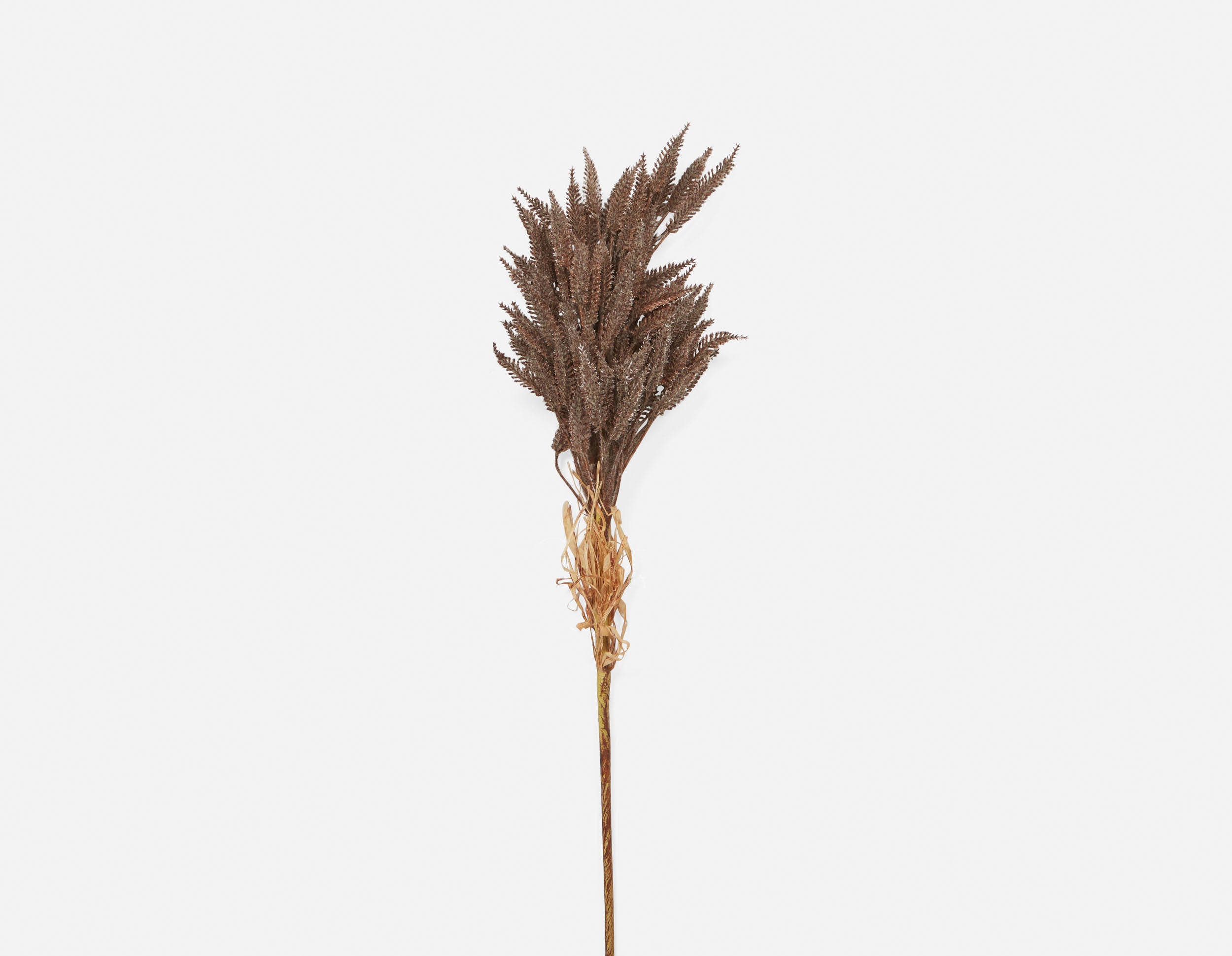 WHEAT I plante artificielle 80 cm undefined