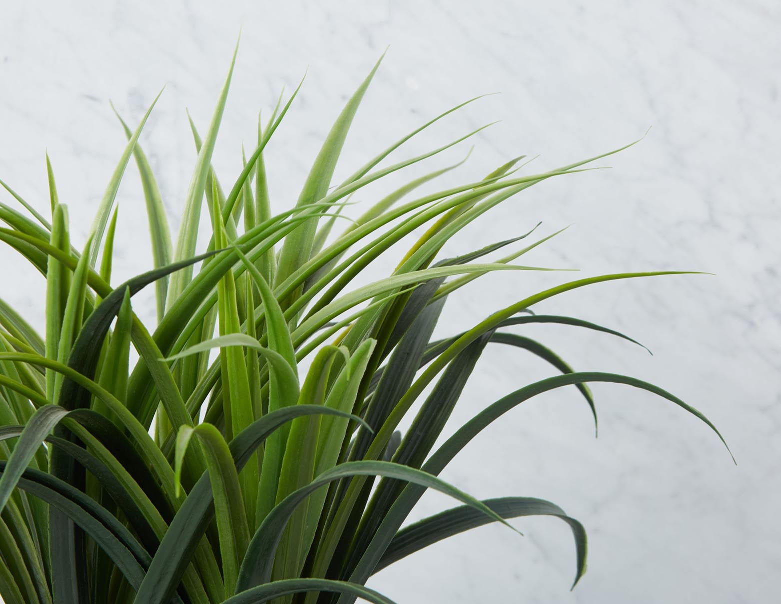 DRACAENA plante artificielle en pot 50 cm undefined