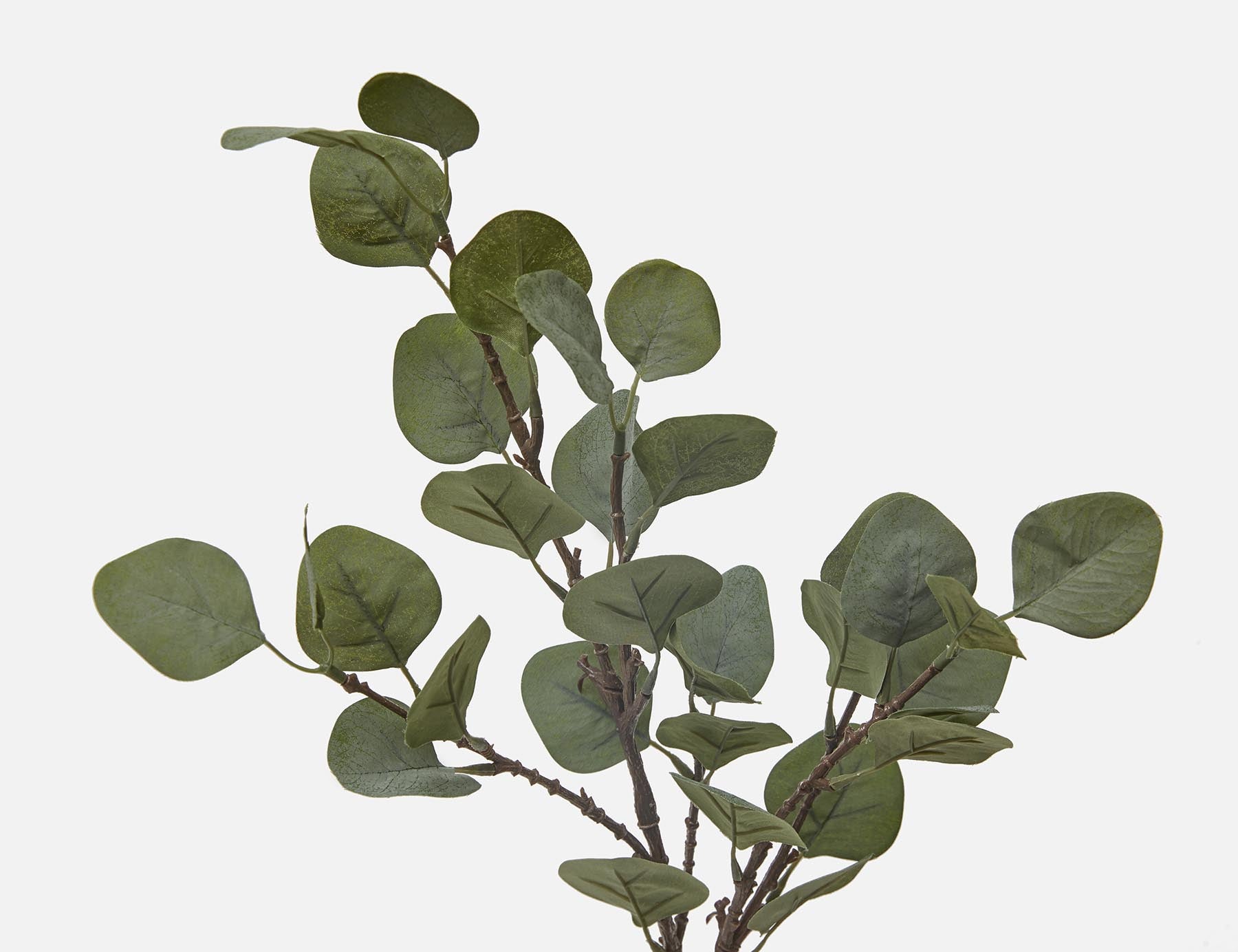 EUCALYPTUS II artificial plant 65 cm undefined