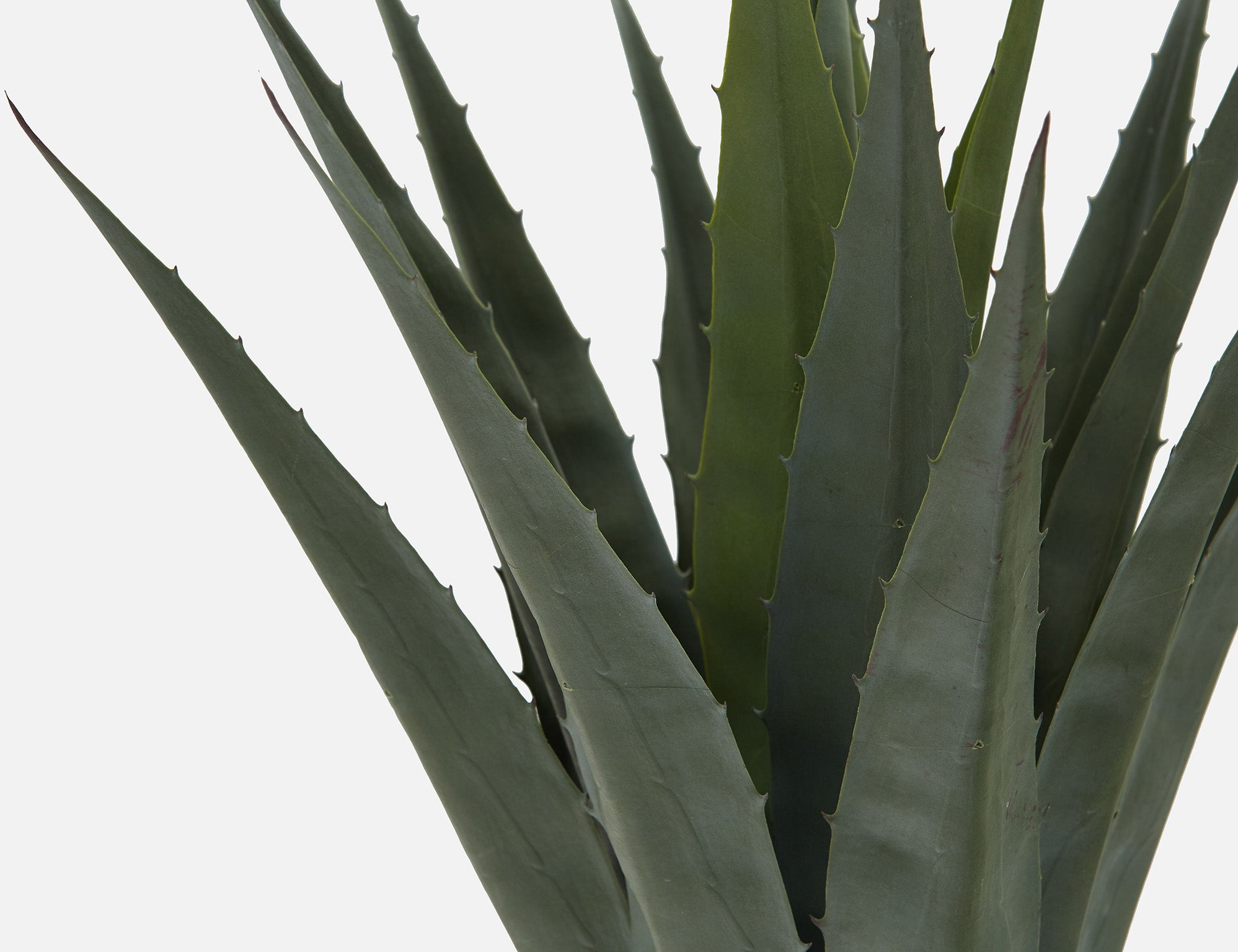 AGAVE plante artificielle en pot 80 cm undefined