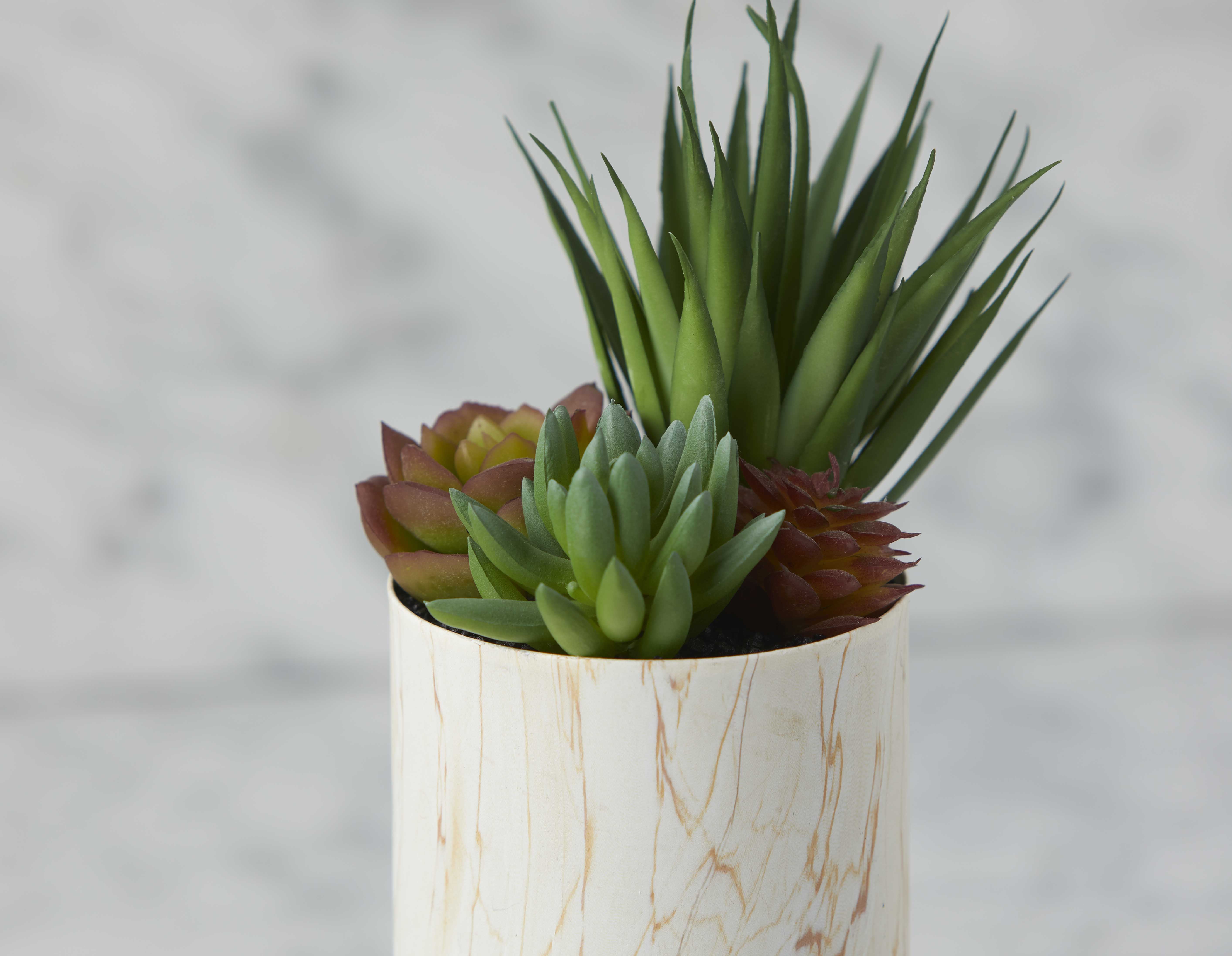 TAWNEY artificial potted plant 25 cm undefined