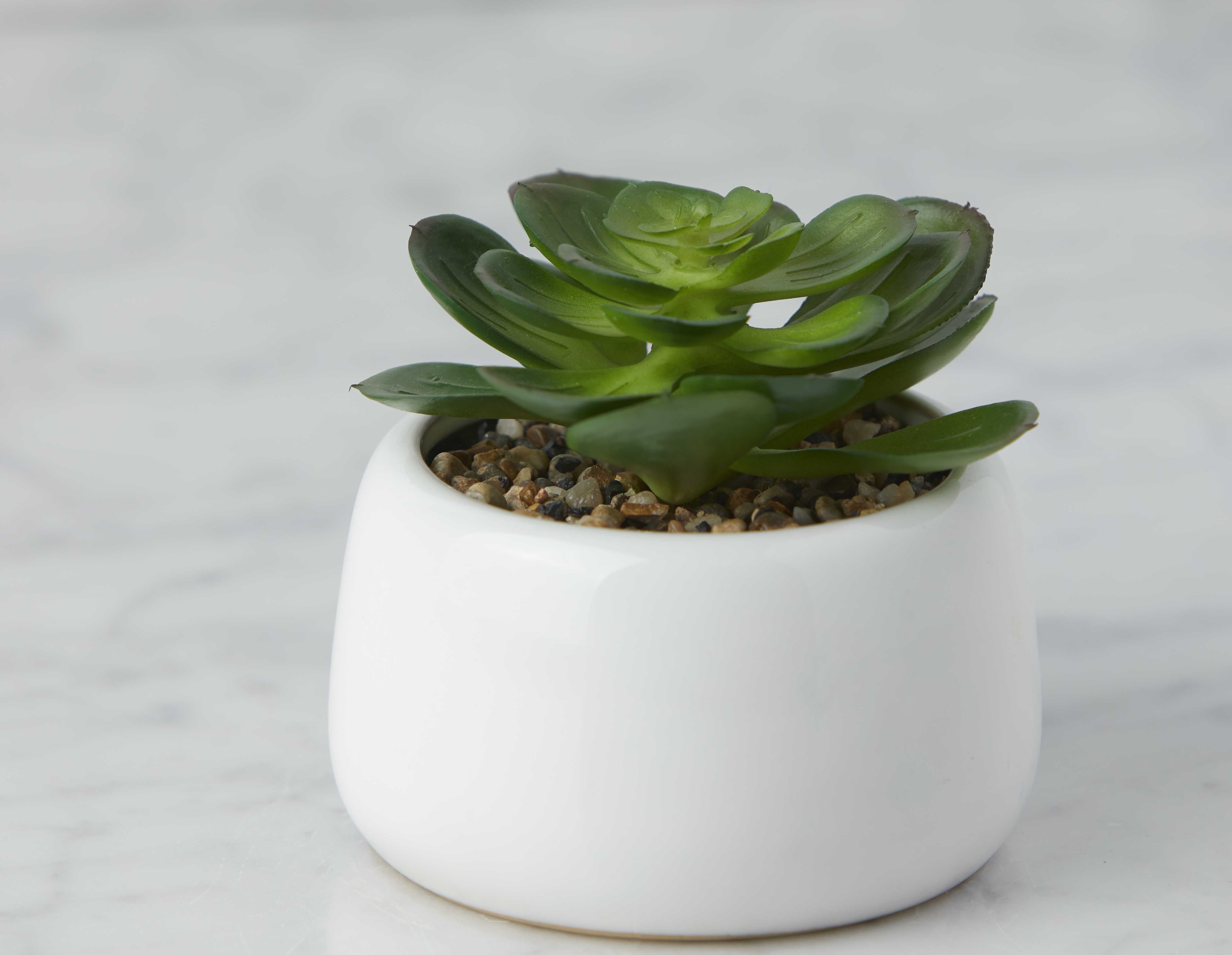 CAORY artificial potted plant 11 cm undefined