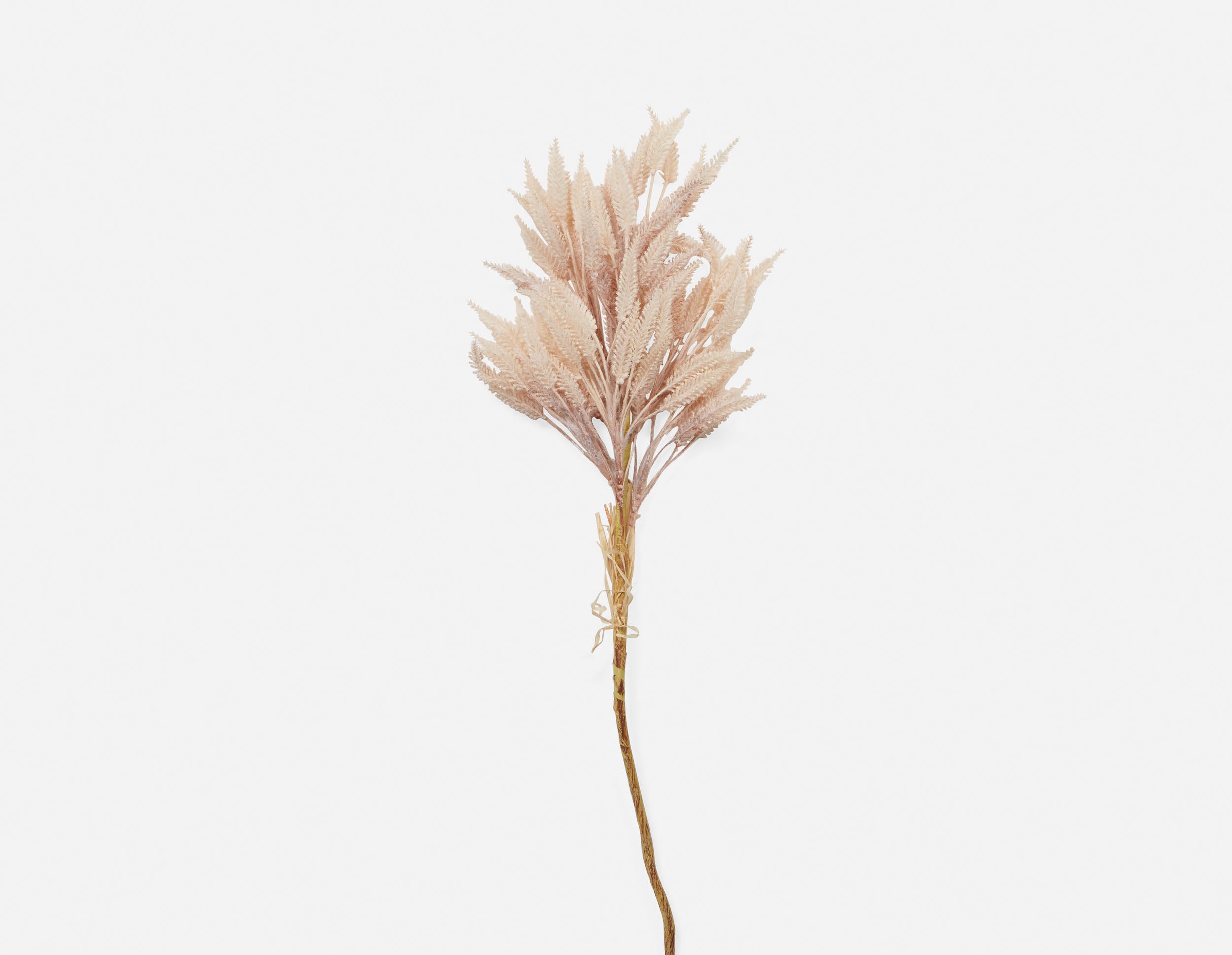 WHEAT II plante artificielle 80 cm undefined