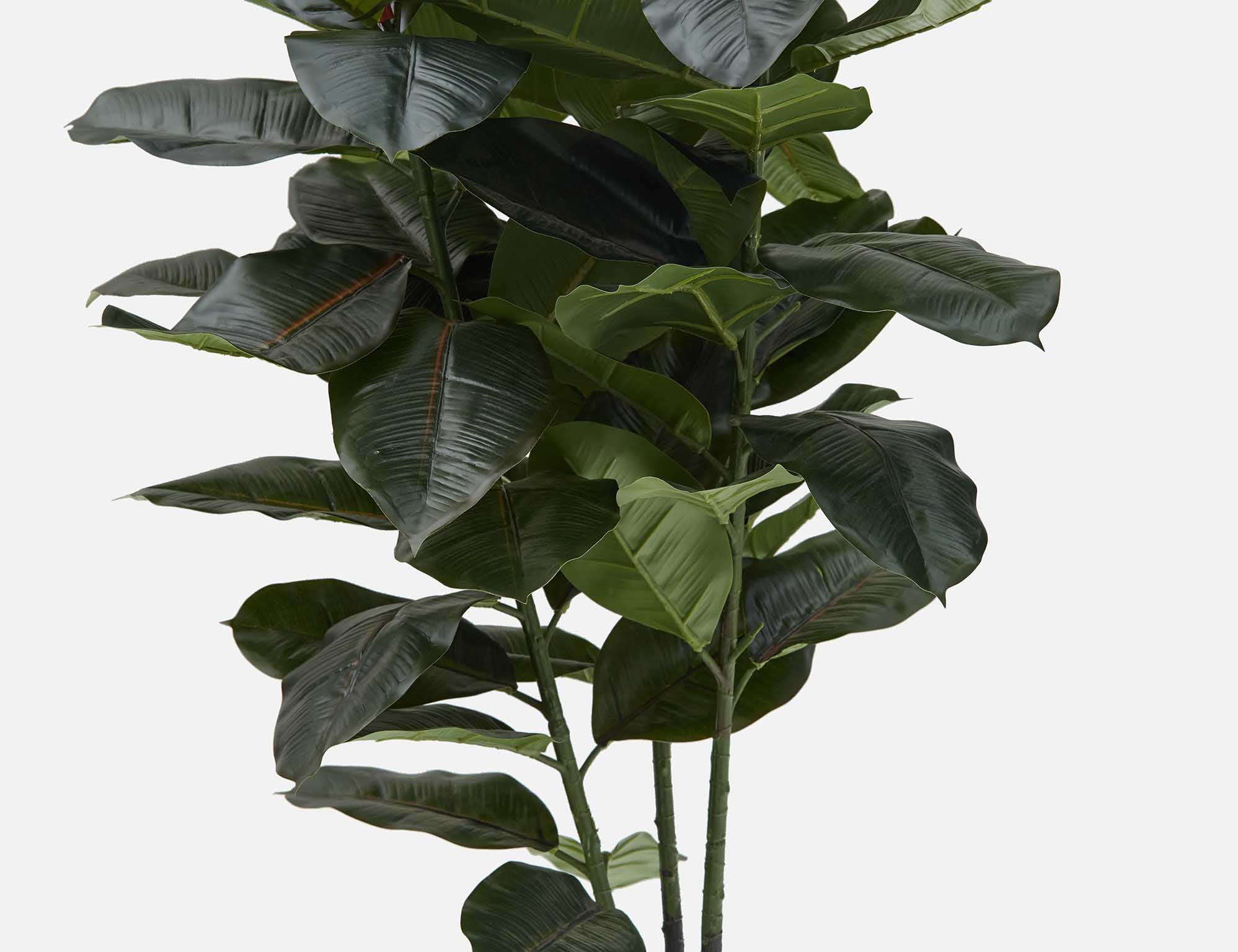 FICUS ELASTICA artificial potted plant 130 cm undefined