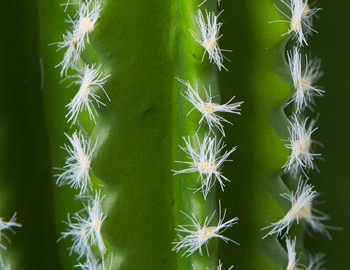 CEREUS cactus artificiel en pot 38 cm undefined