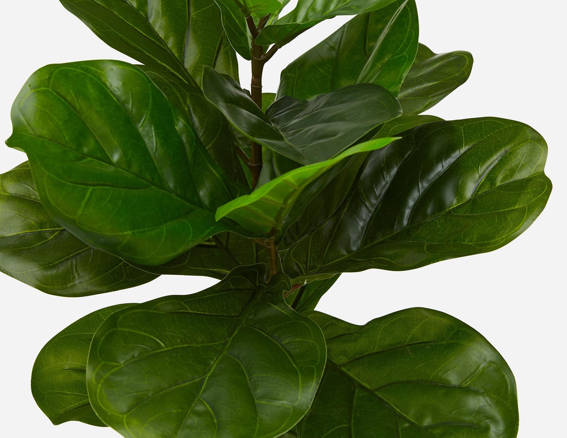 FIDDLE LEAF II plante artificielle en pot 70 cm undefined