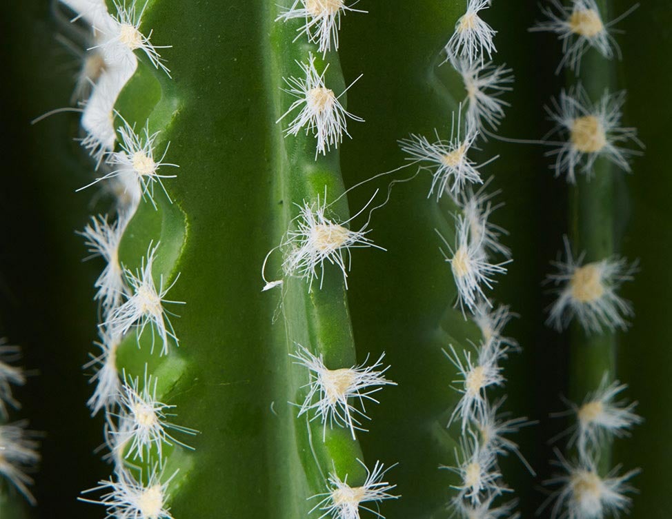 TETRA artificial potted cactus 70 cm undefined