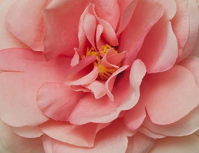 PEONY artificial flower 61 cm undefined