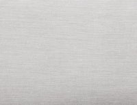 Gris clair