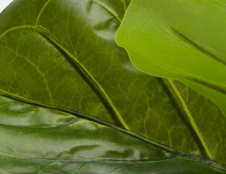 FIDDLE LEAF I plante artificielle en pot 150 cm undefined