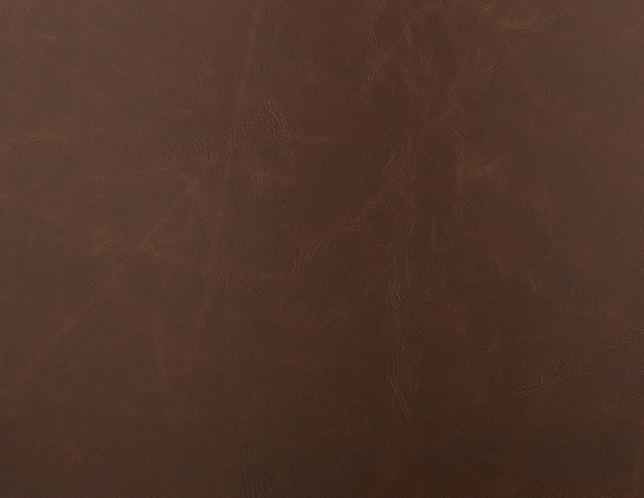 HAYDEN dining chair undefined