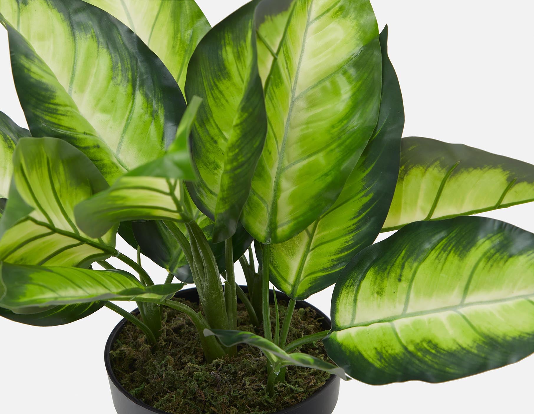 ALIX plante artificielle en pot 50 cm undefined