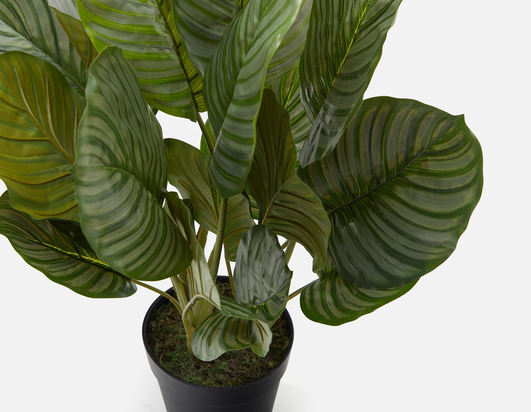 ALLY artificial potted plant 55 cm undefined