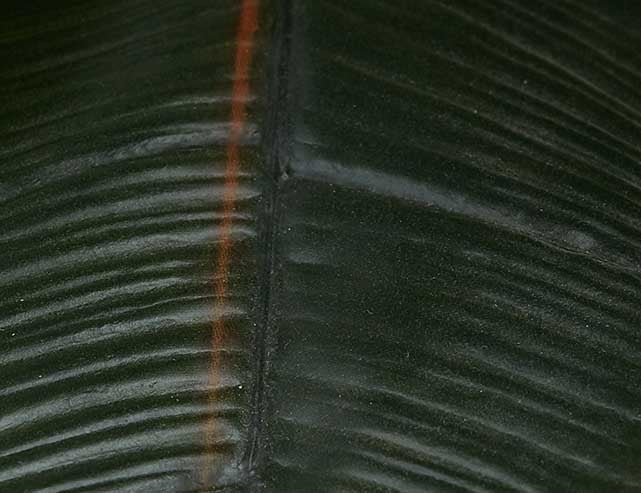 FICUS ELASTICA artificial potted plant 130 cm undefined