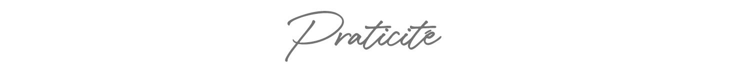 Praticité