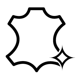 Leather Furniture Care